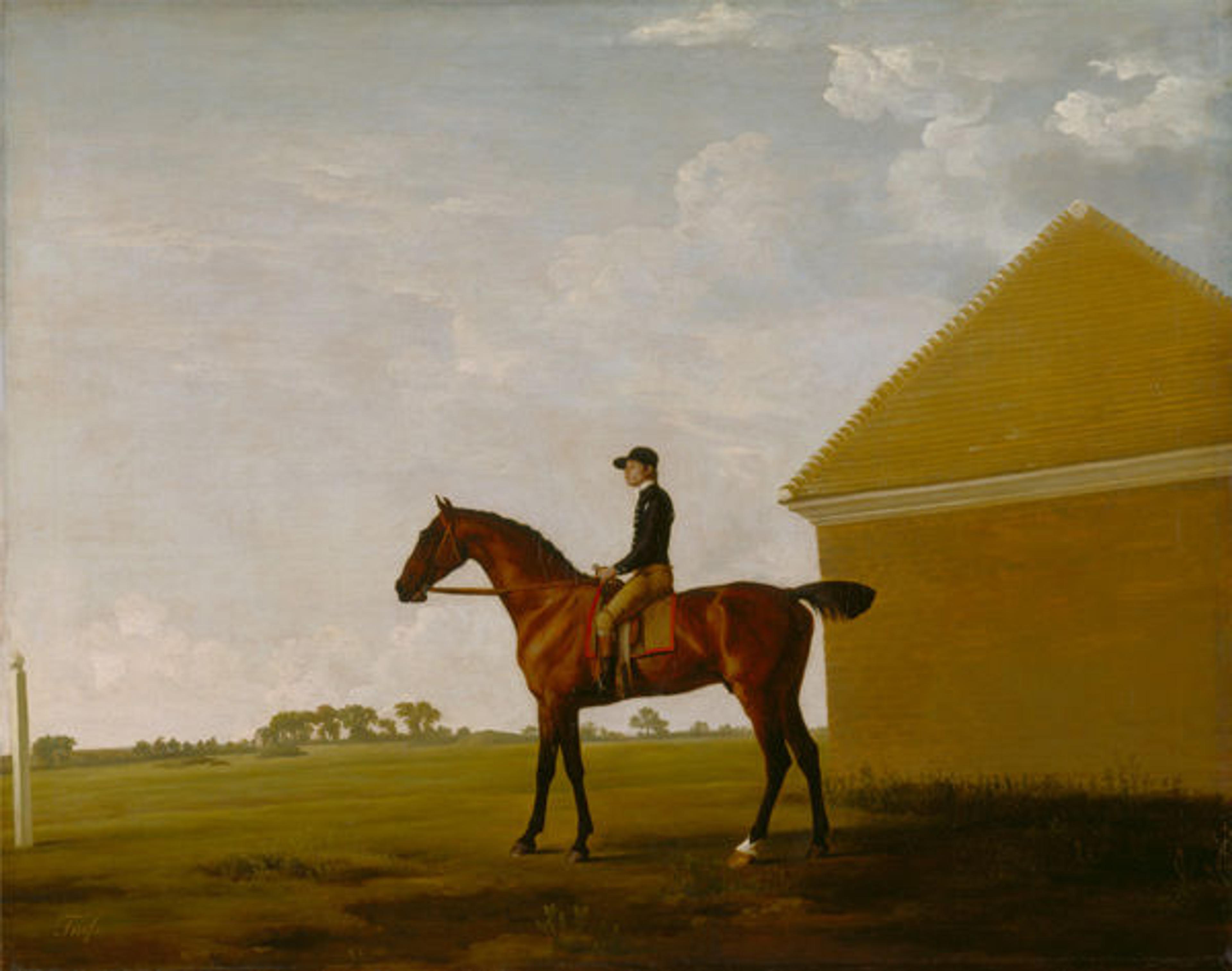 George Stubbs (British, 1724–1806). Turf, with Jockey up, at Newmarket, ca. 1765. Oil on canvas; 38 x 49 in. (96.5 x 124.5 cm). Yale Center for British Art, Paul Mellon Collection