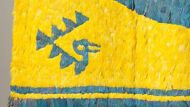 Radiance from the Rain Forest