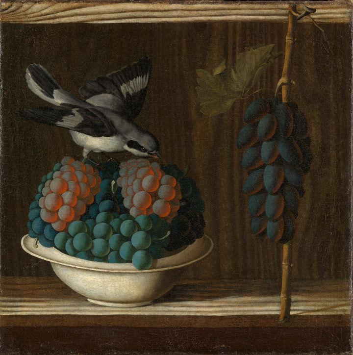 Early 16th-century still life depicting a gray and black bird sitting atop a bowl of grapes