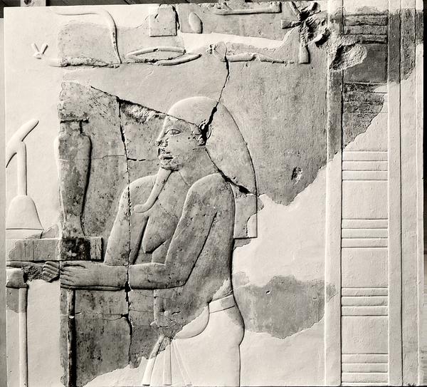 Cover Image for 3320. Relief: fecundity figure