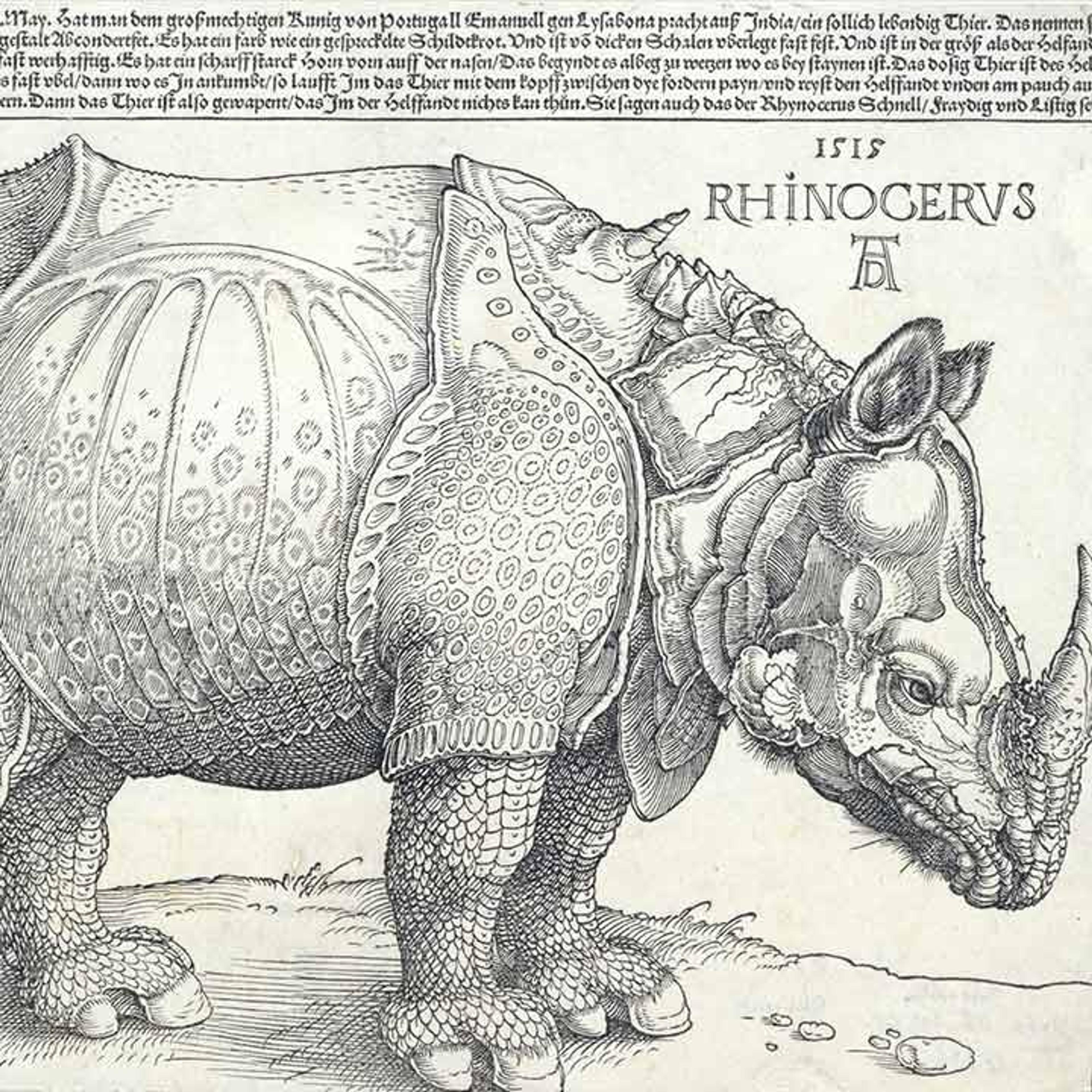 Etching of the side-view of a rhinoceros, by Albrecht Durer.