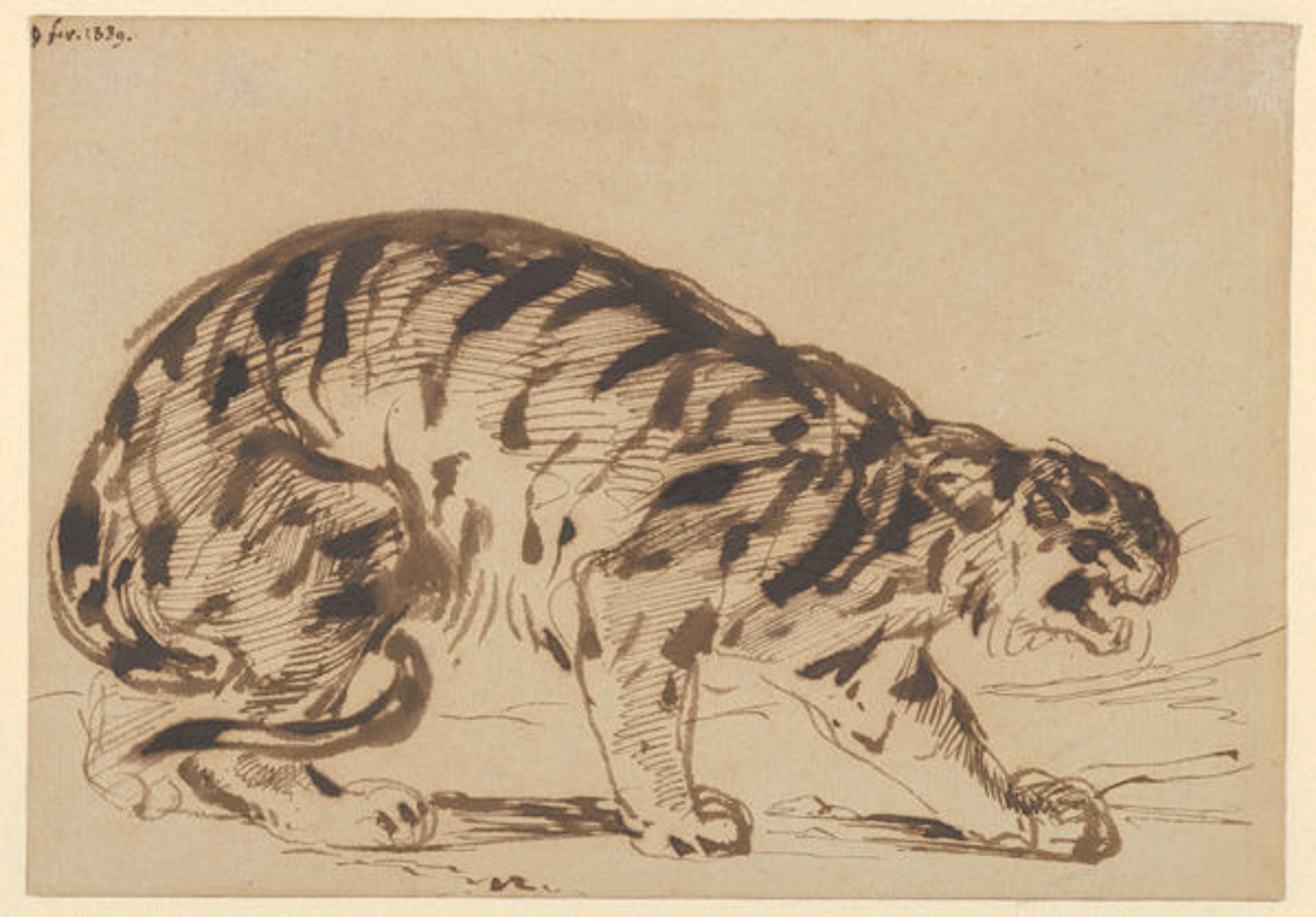 Eugène Delacroix (French, 1798–1863) | Crouching Tiger, 1839 | The Metropolitan Museum of Art, New York, Gift from the Karen B. Cohen Collection of Eugène Delacroix, in honor of Sanford I. Weill, 2013 (2013.1135.5)