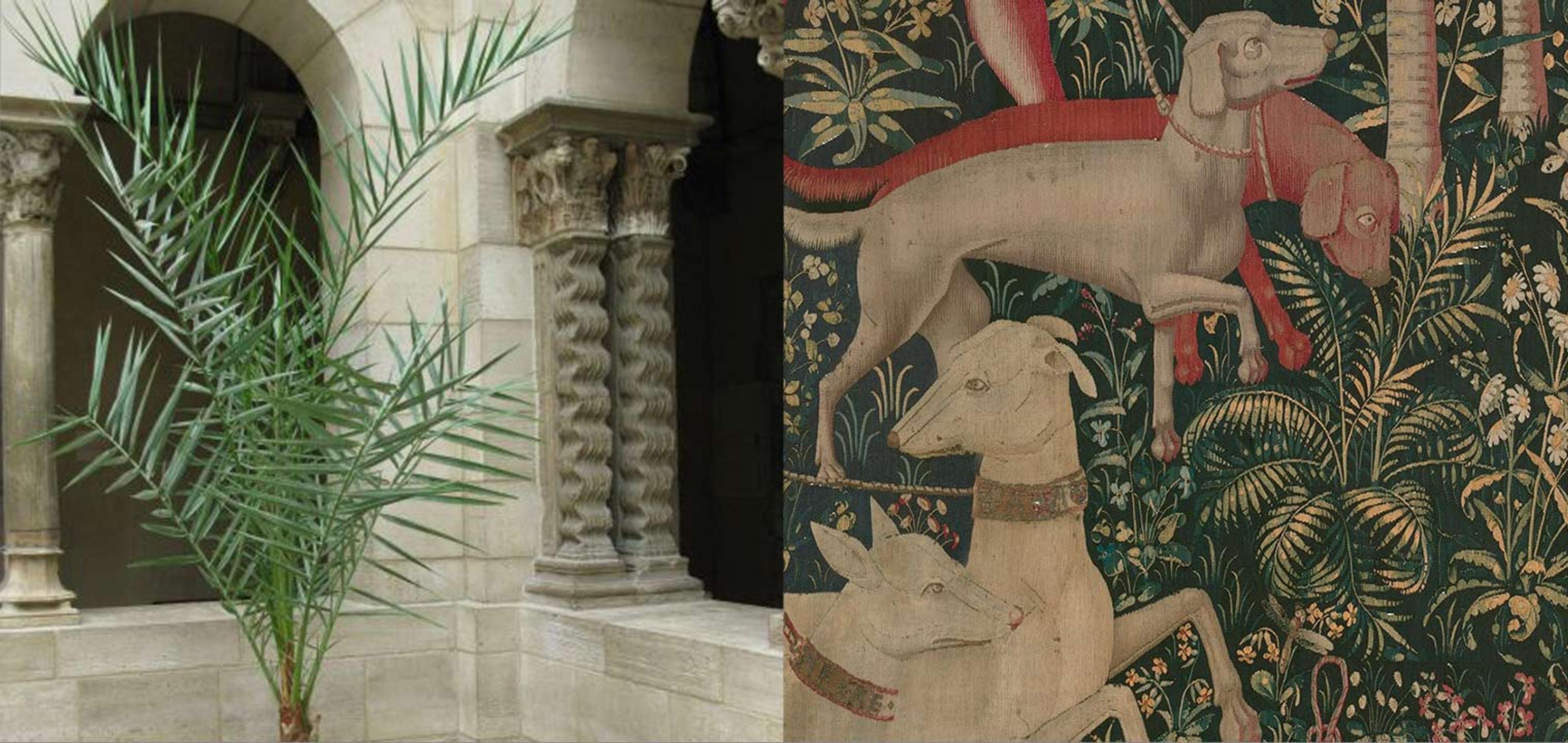 Detail of a date palm and dogs from "The Hunters Enter the Woods" from the Unicorn Tapestries