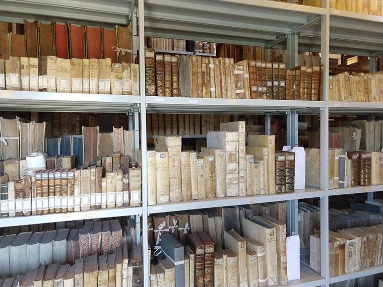 Montefiascone Conservation Project 5