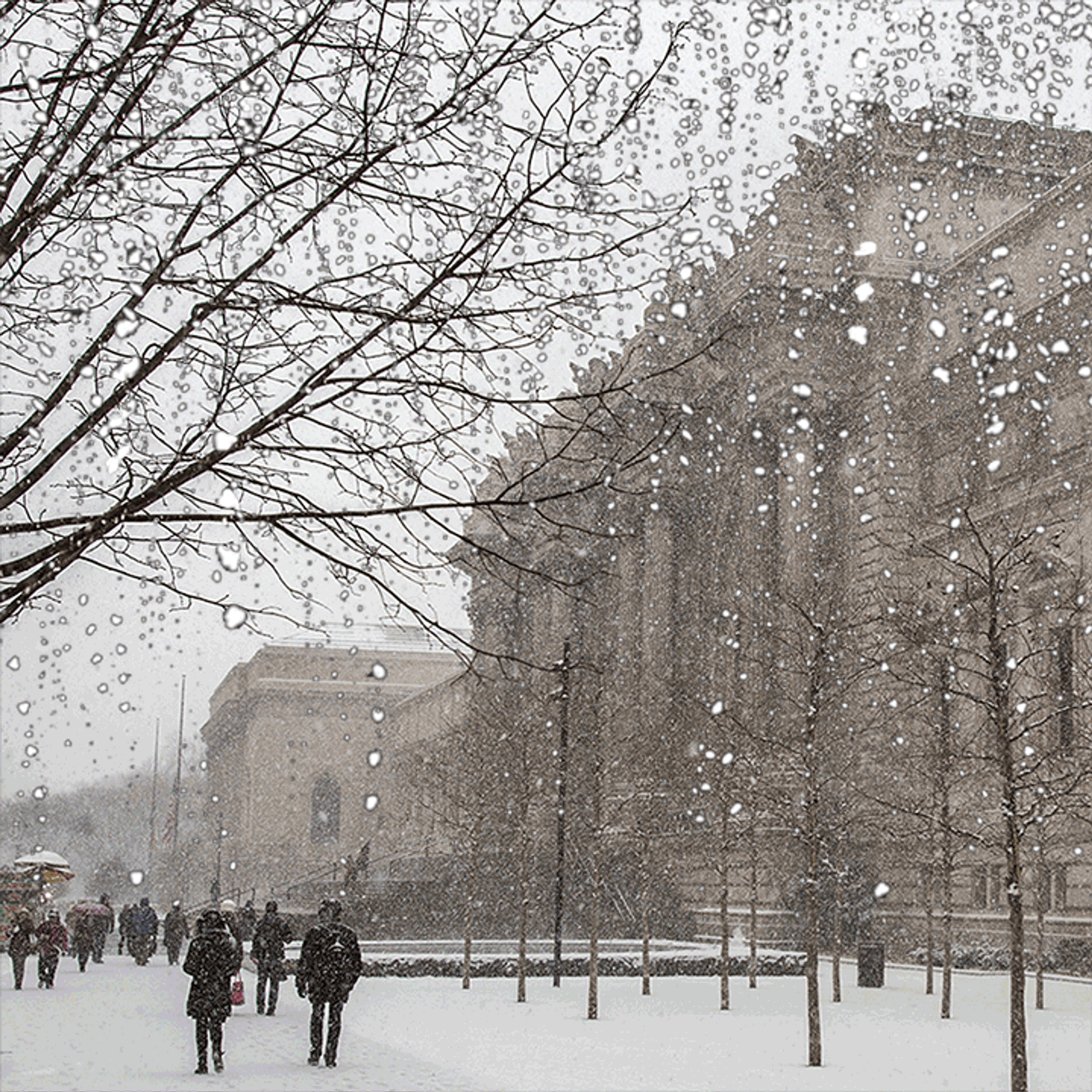 Picture of The Met during winter with animation of snow falling and bare trees.