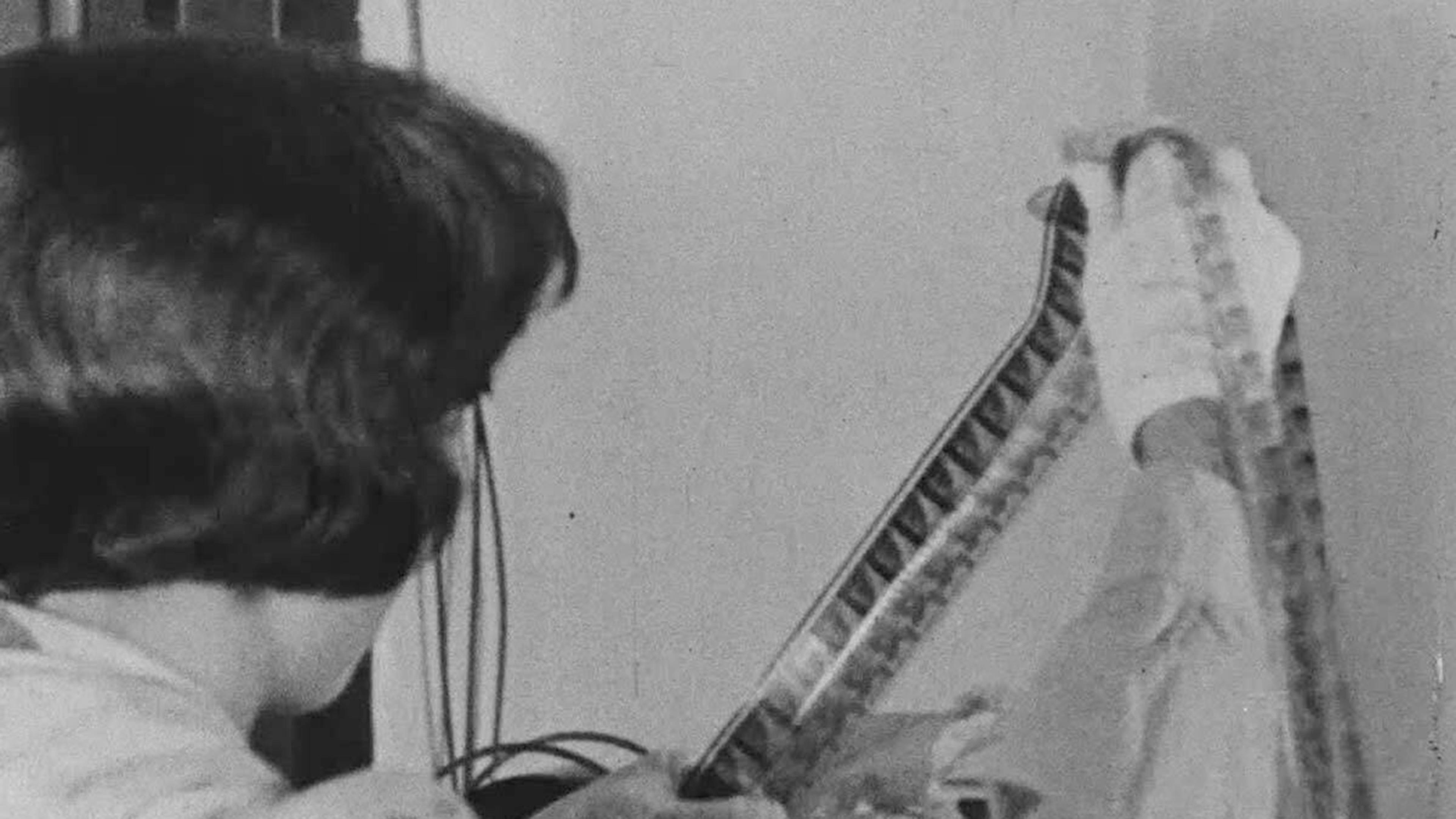 Woman, with her back to the viewer, stretching a strip of film between her hands.