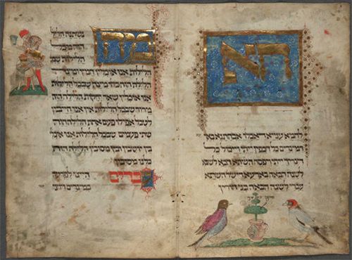 Image for The Washington Haggadah: The Delights of Ornament