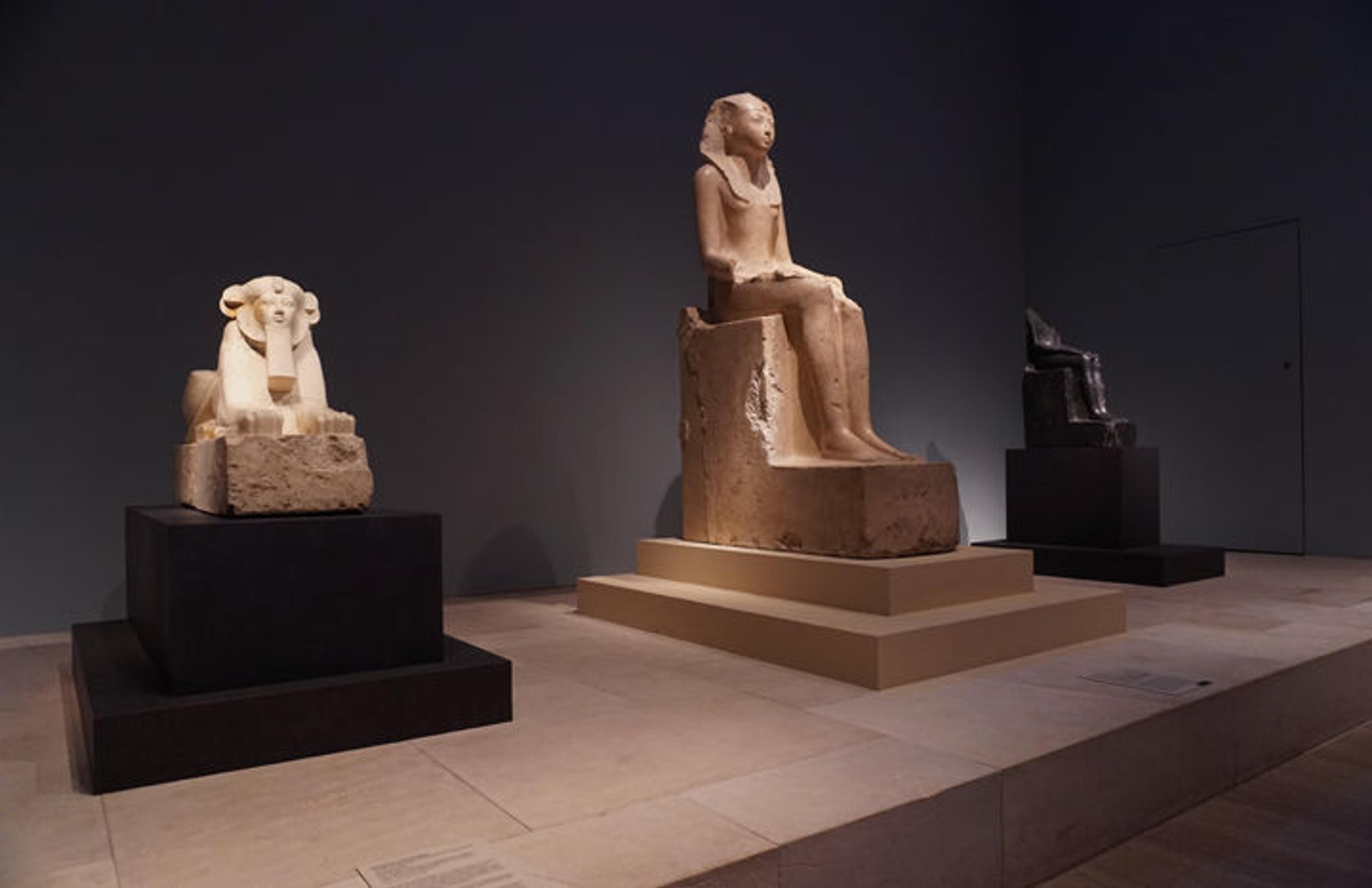 Installation view of objects depicting Hatshepsut