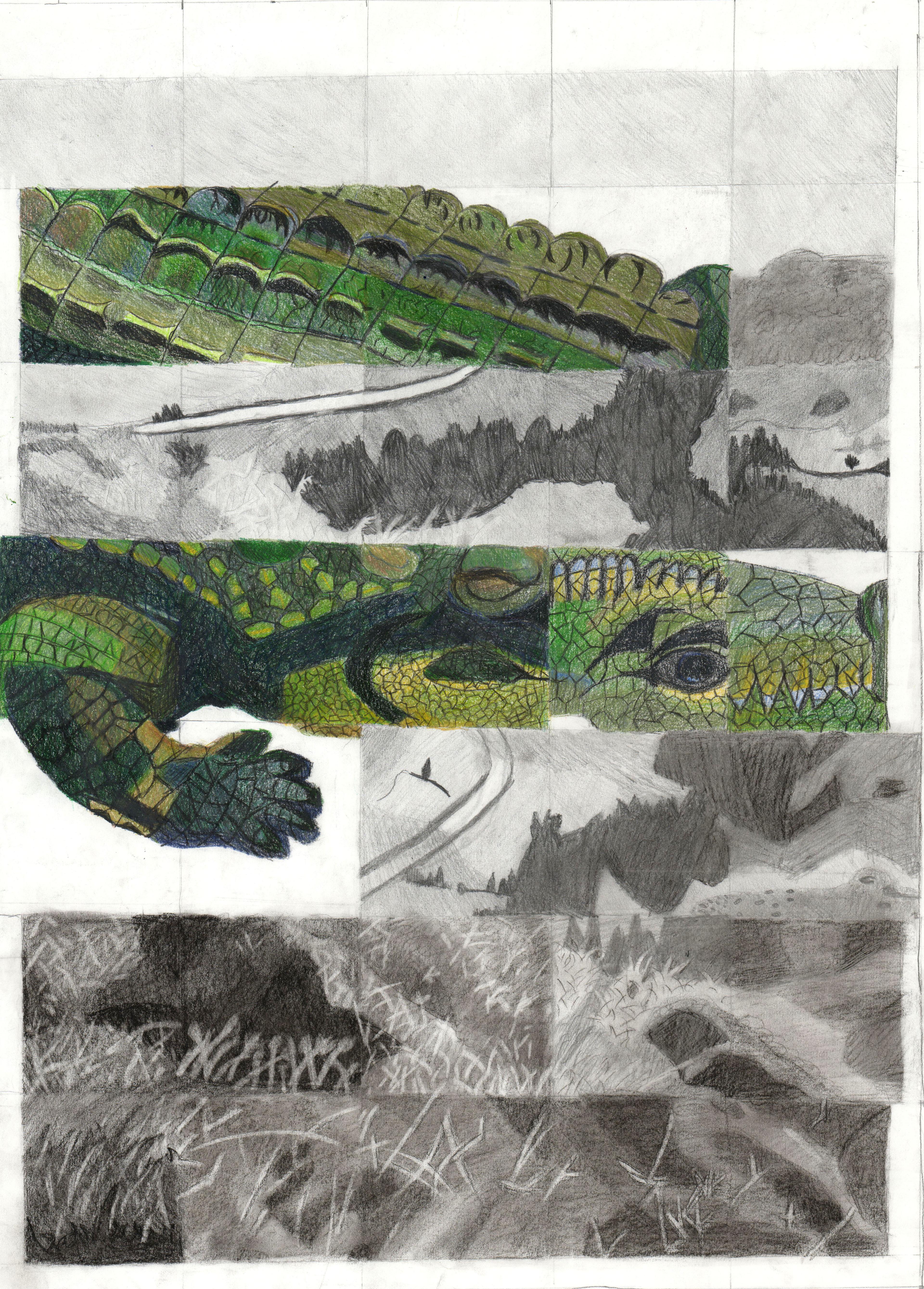Colored pencil–and-graphite illustration on a grid composed of five columns and seven rows of squares, with two different drawings separated by alteranting rows on the grid. The larger, main drawing is a grayscale illustration of grassy, swampy marshlands. The smaller secondary illustration is drawn across the second, fourth, and fifth rows of the grid from the top. This smaller color drawing shows tightly cropped portions of a green alligator resting on its belly. The juxtaposition of the green alligator against the gray swamp land suggests a camoflaged predator lurking in the tall grass.