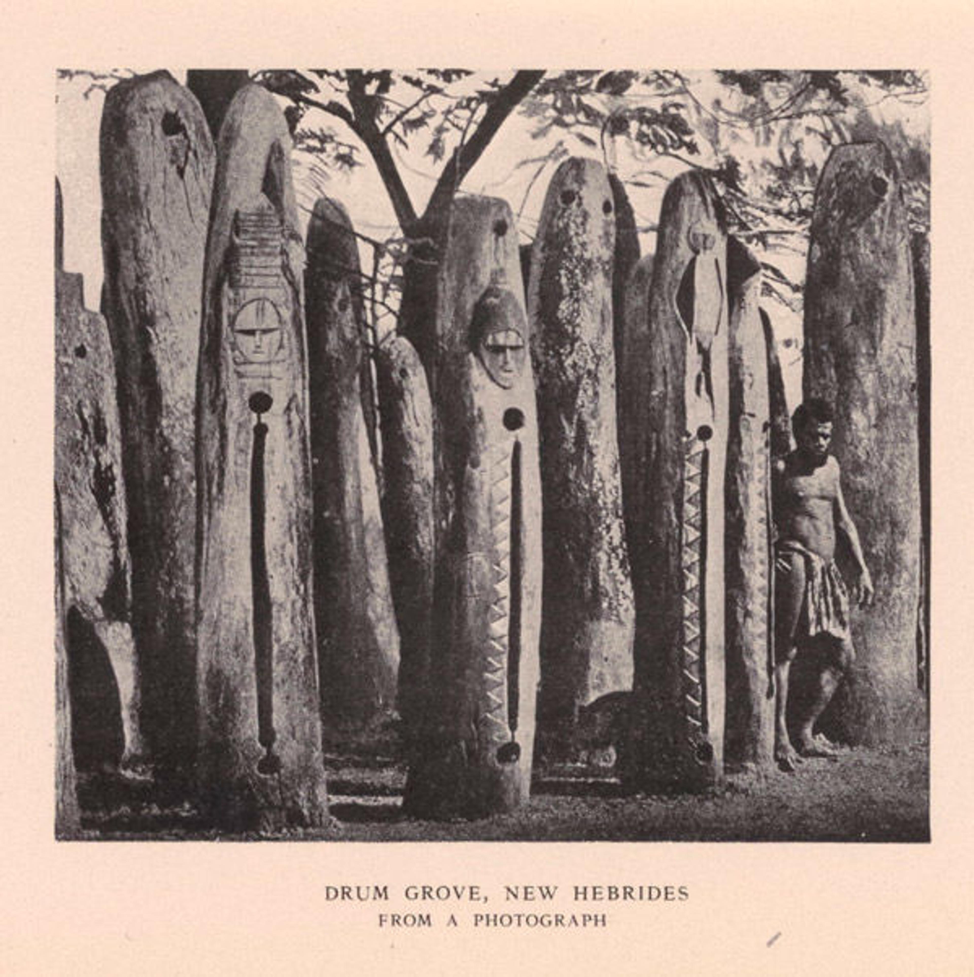 "Drum Grove, New Hebrides" from "Catalogue of the Crosby Brown Collection of Musical Instruments of All Nations: [Volume] II, Oceanica and America," 1913