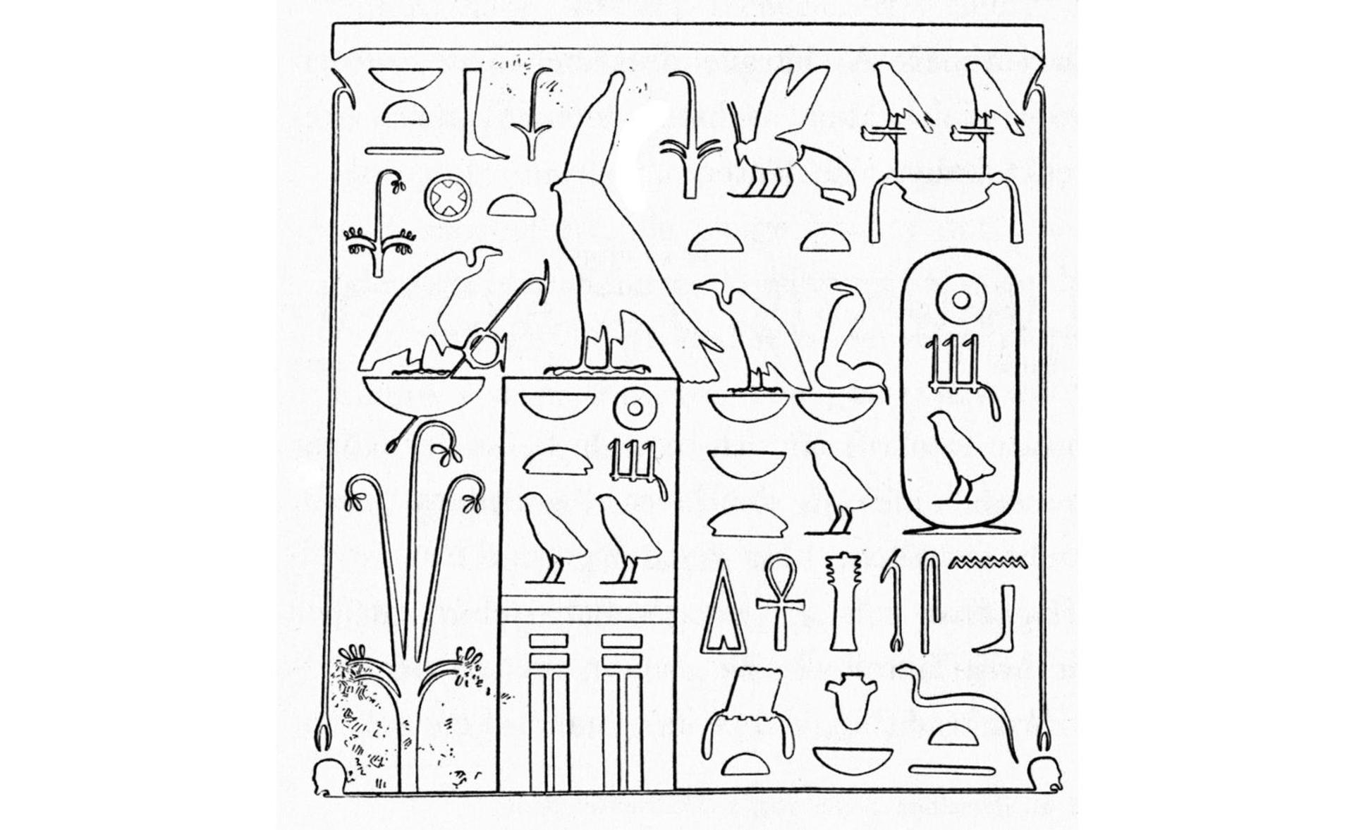 Curatorial Interpretation: Palm Column of Sahure - The Metropolitan ...