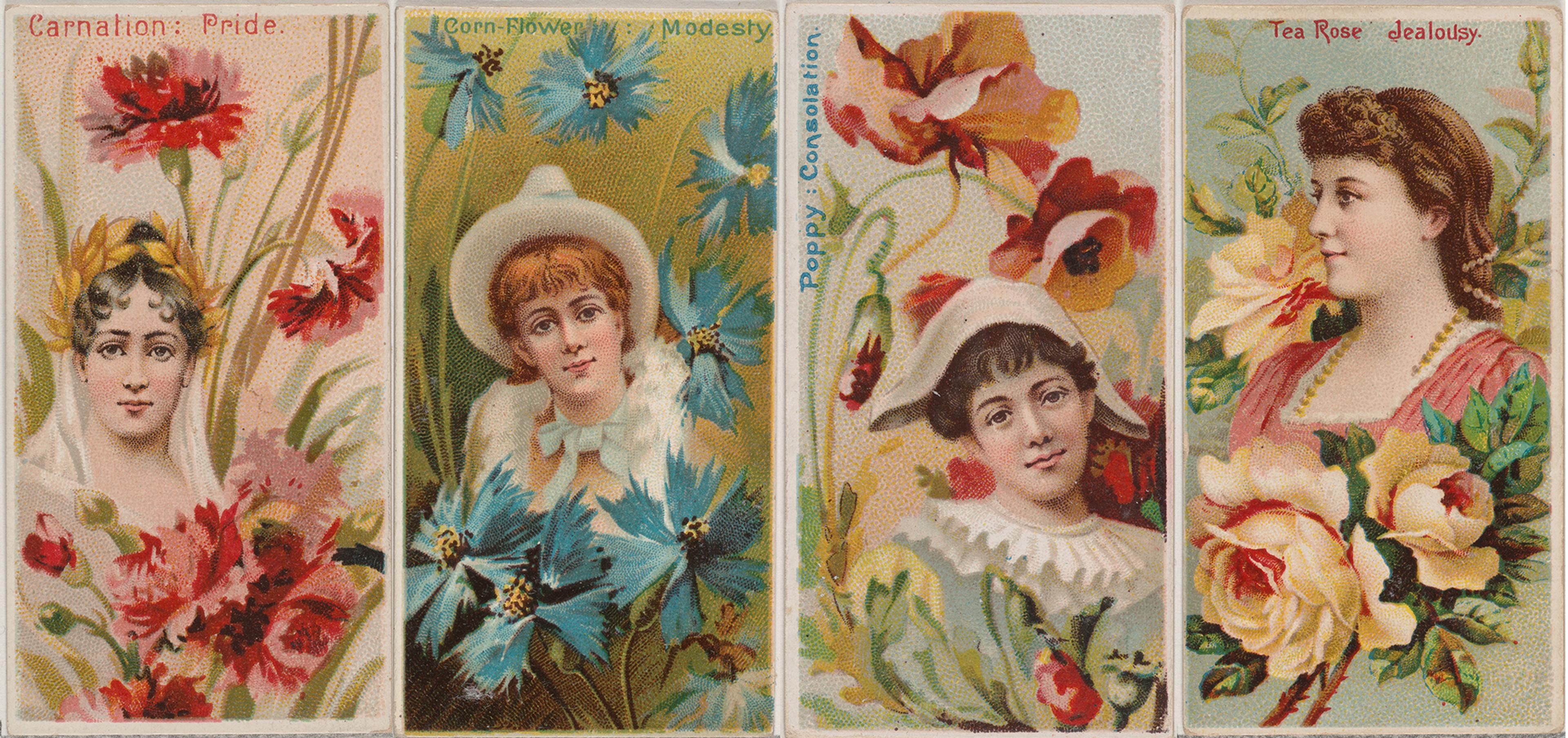 Composite image of four tobacco cards each featuring a bust-length portrait of a young woman with a specific flower.