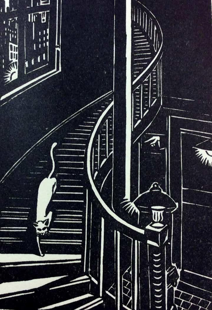 Masereel cat