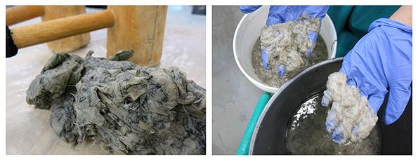 Anne Covell’s slide