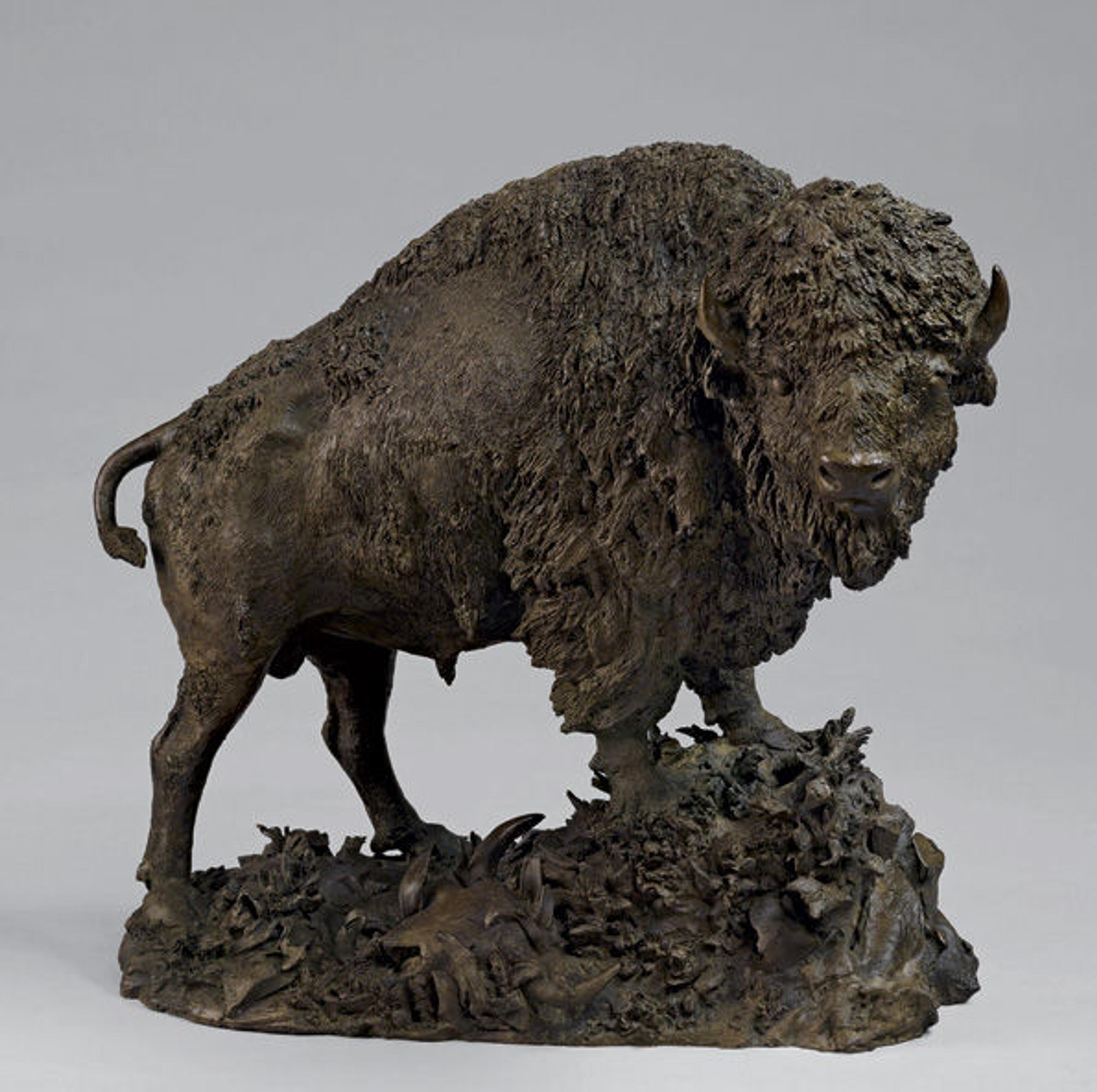 Buffalo