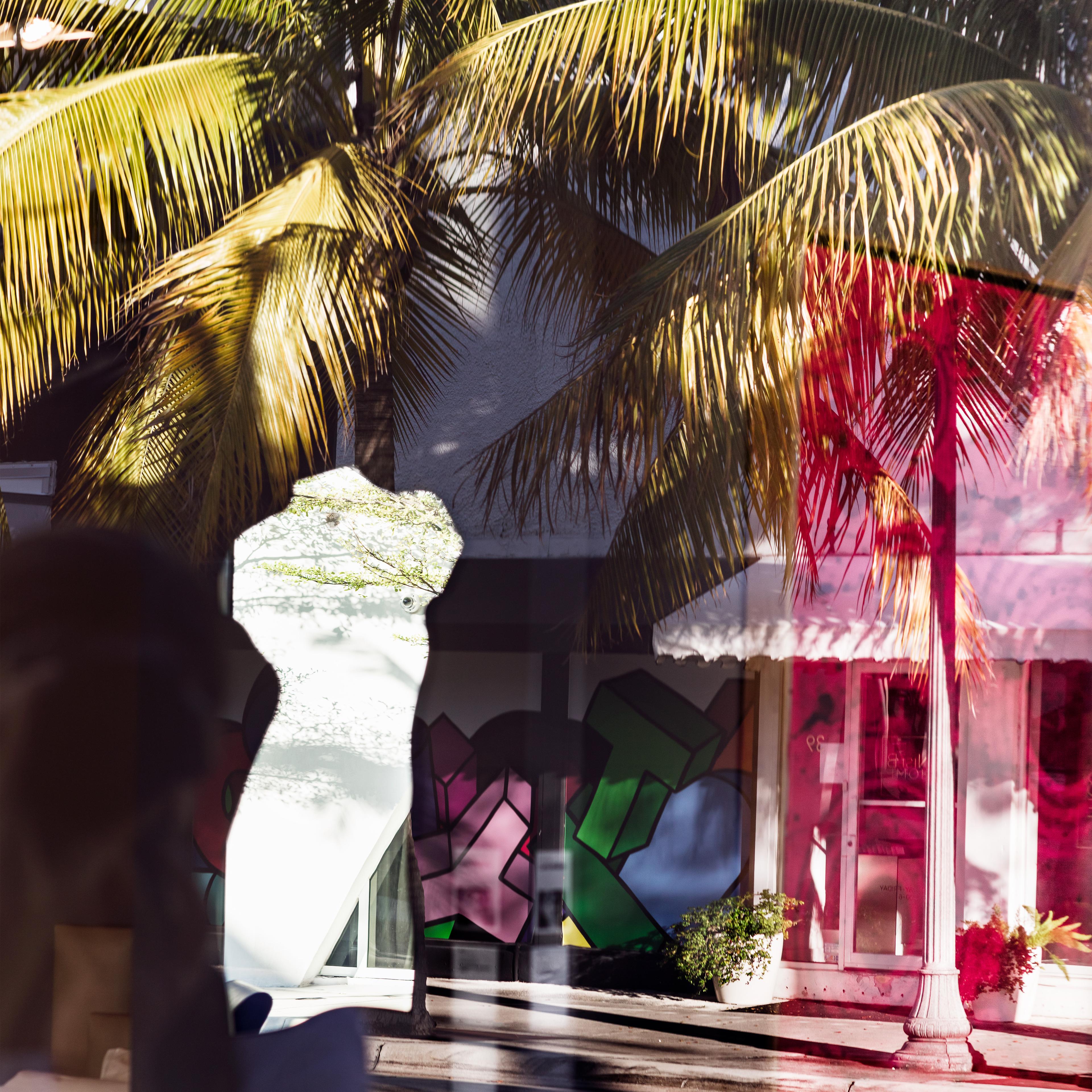 Collage of Miami storefronts palm trees and white torso.