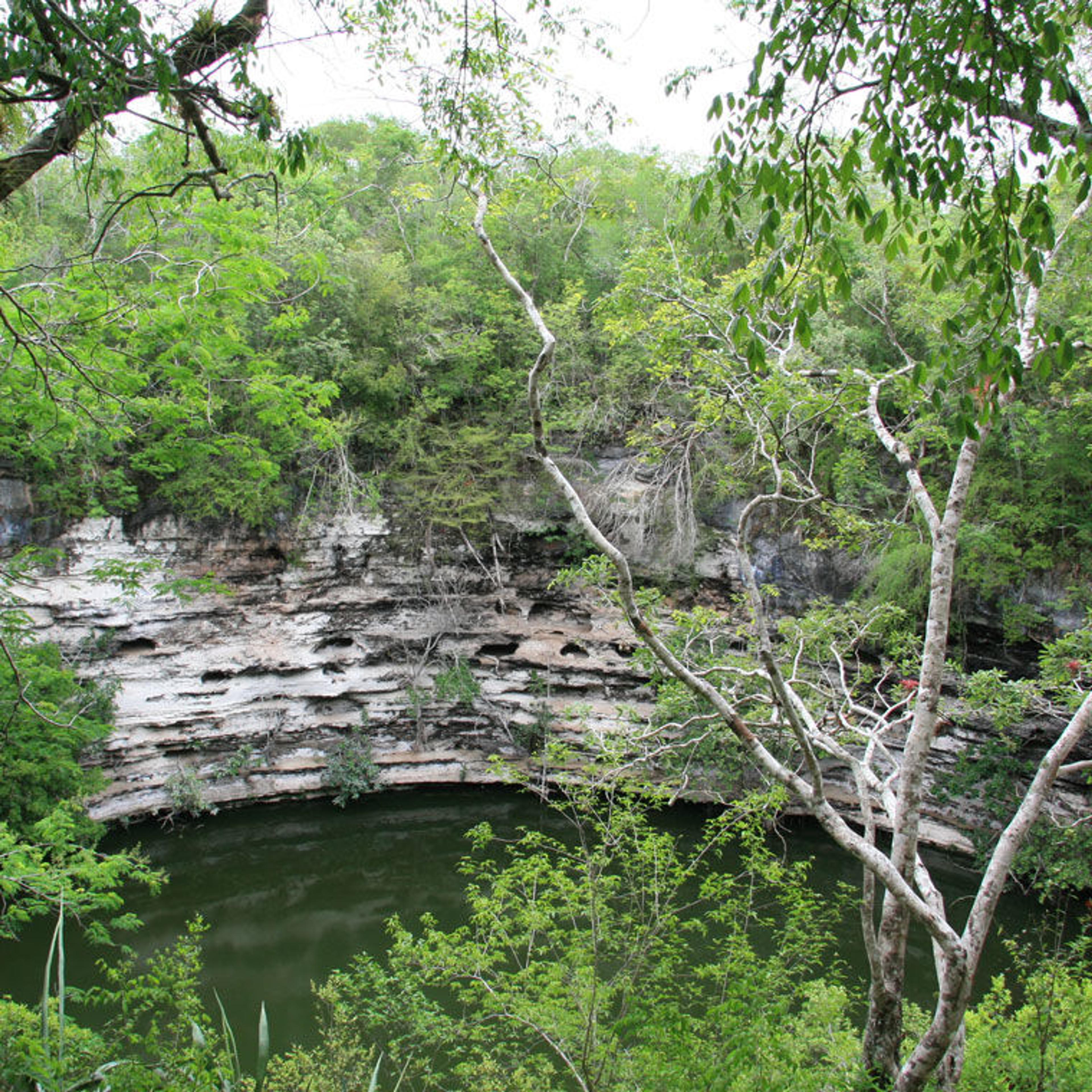 View of the Sacred Cenote at Chichen Itza, a sinkhole situated in a verdant forest