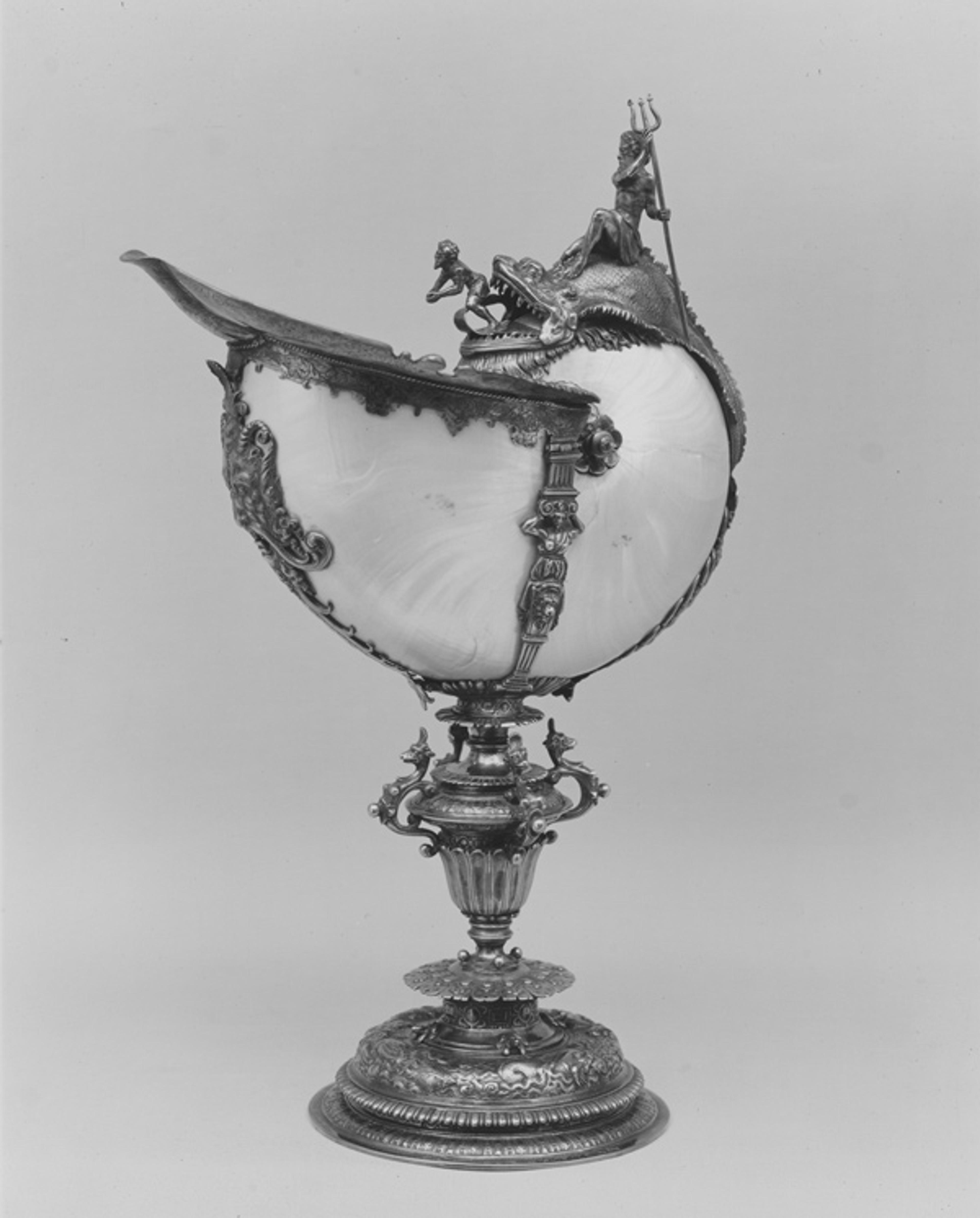 Nautilus cup