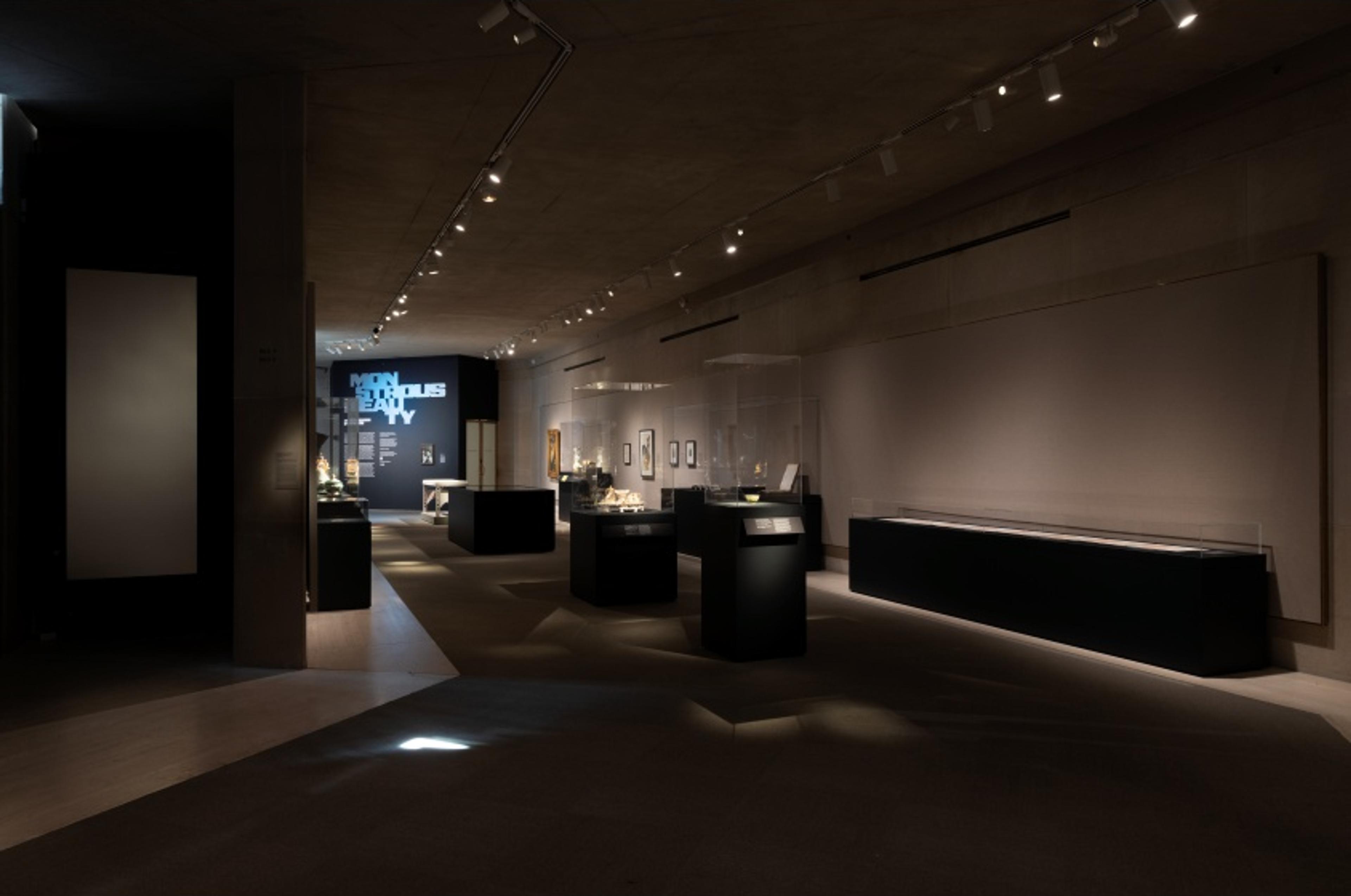 Monstrous Beauty gallery view