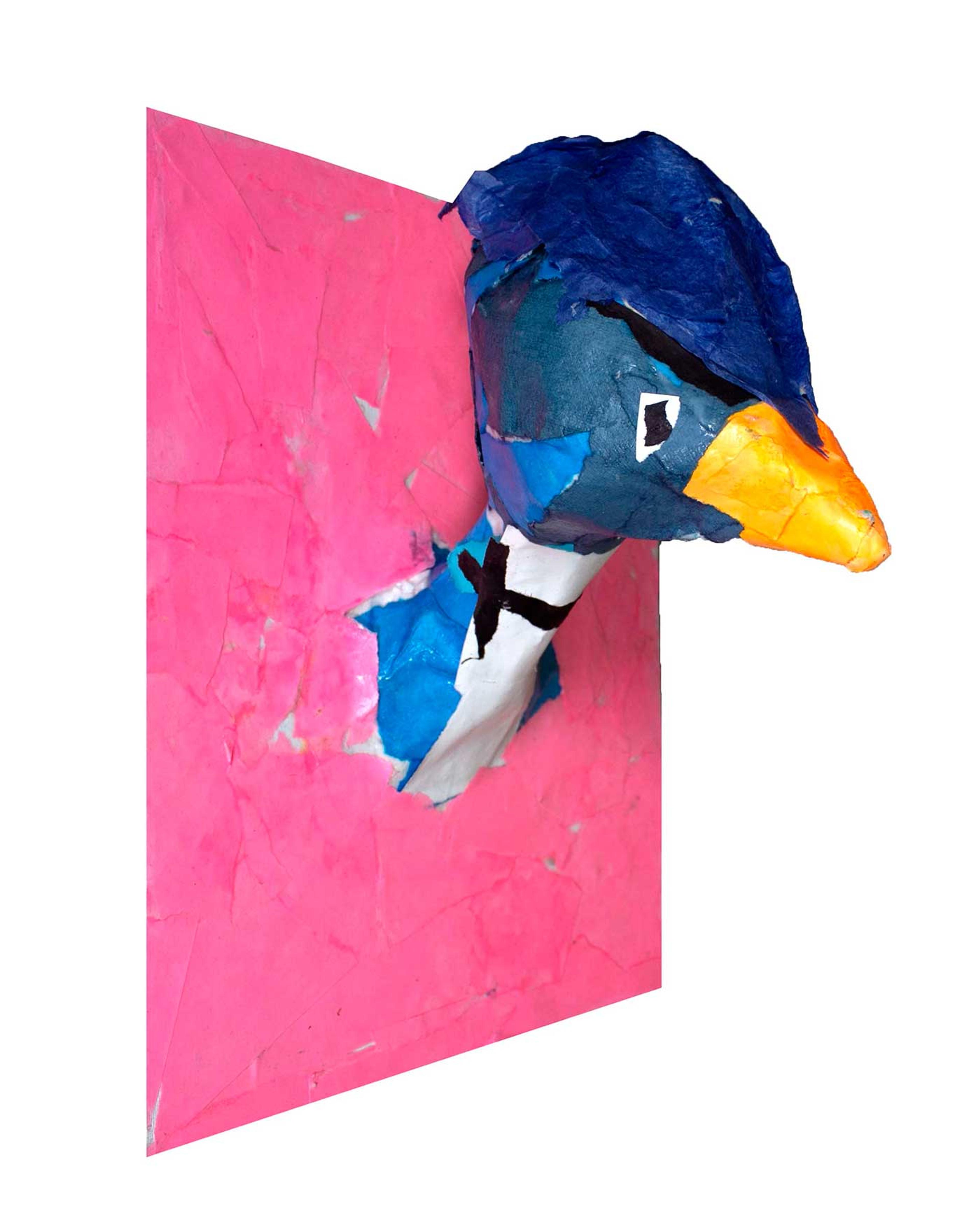 Three dimensional blue bird's head on pink paper.