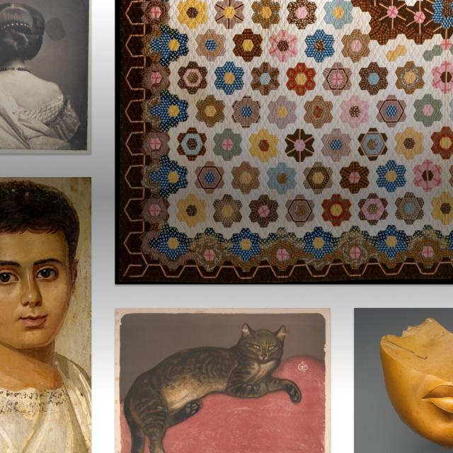 A collage of artworks including a painting of a person's face, a painting of a cat lounging on a pillow, a quilt, a photograph of a person with their hair tied up and back facing the camera, and a fragment of a statue representing the lower portion of a woman's face.
