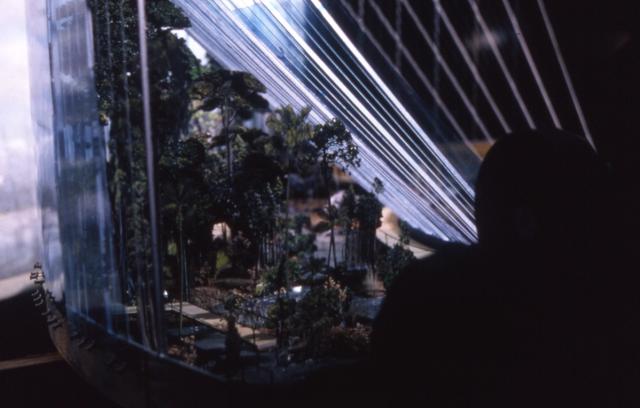 Photograph of a model for an aquarium. The display is lit from above by narrow strips of light, and the model itself includes significant treescaping