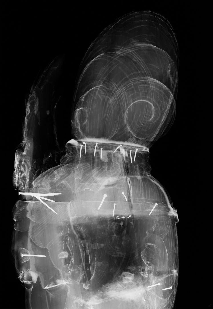 X-ray of the side view of the head revealing a hollowed-out chamber and multiple nails that were meant to hold the smaller blocks of wood to the head and parts of the crown, which are now missing.