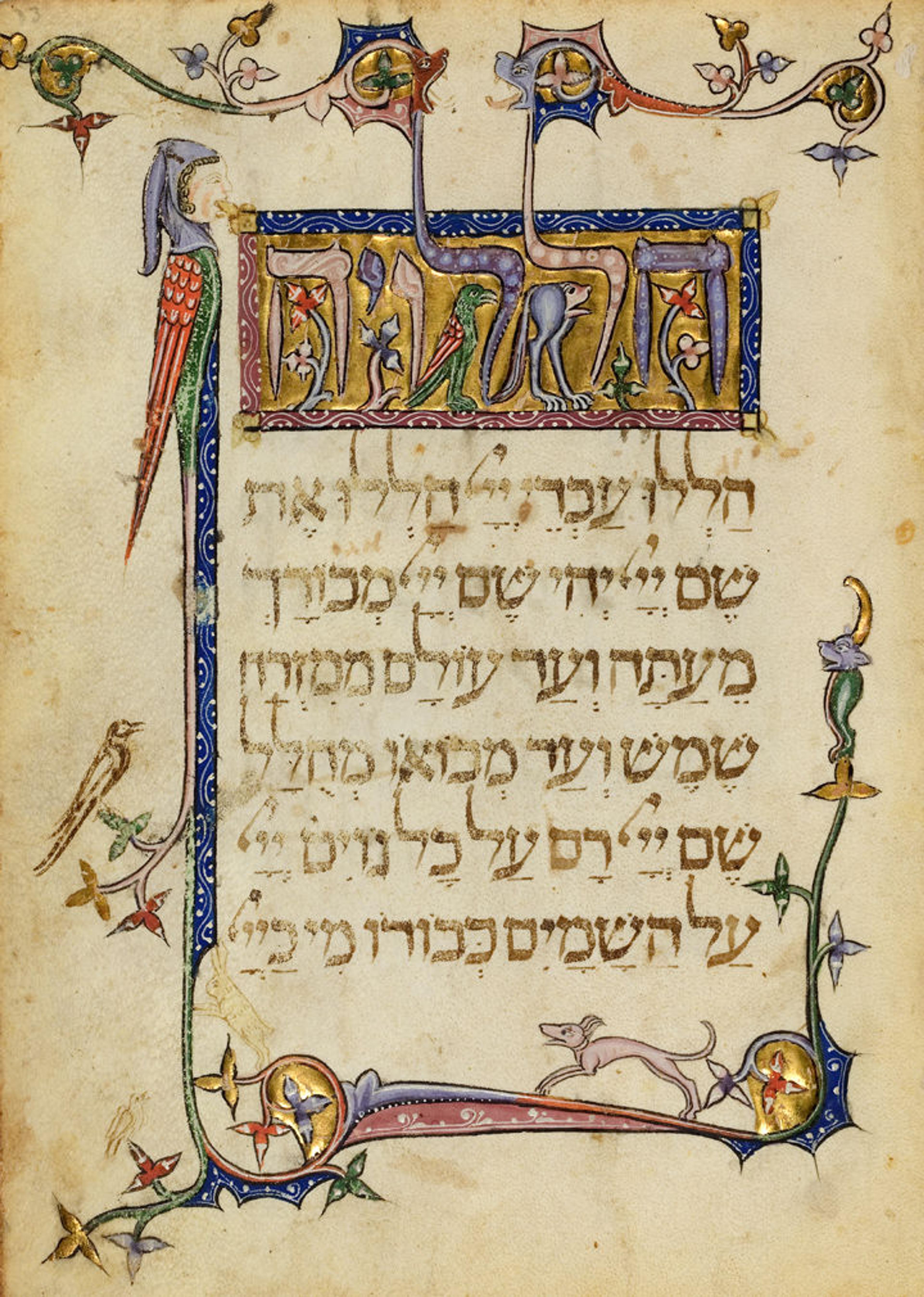 An illuminated page from the Prato Haggadah featuring gold and colorful illuminations 