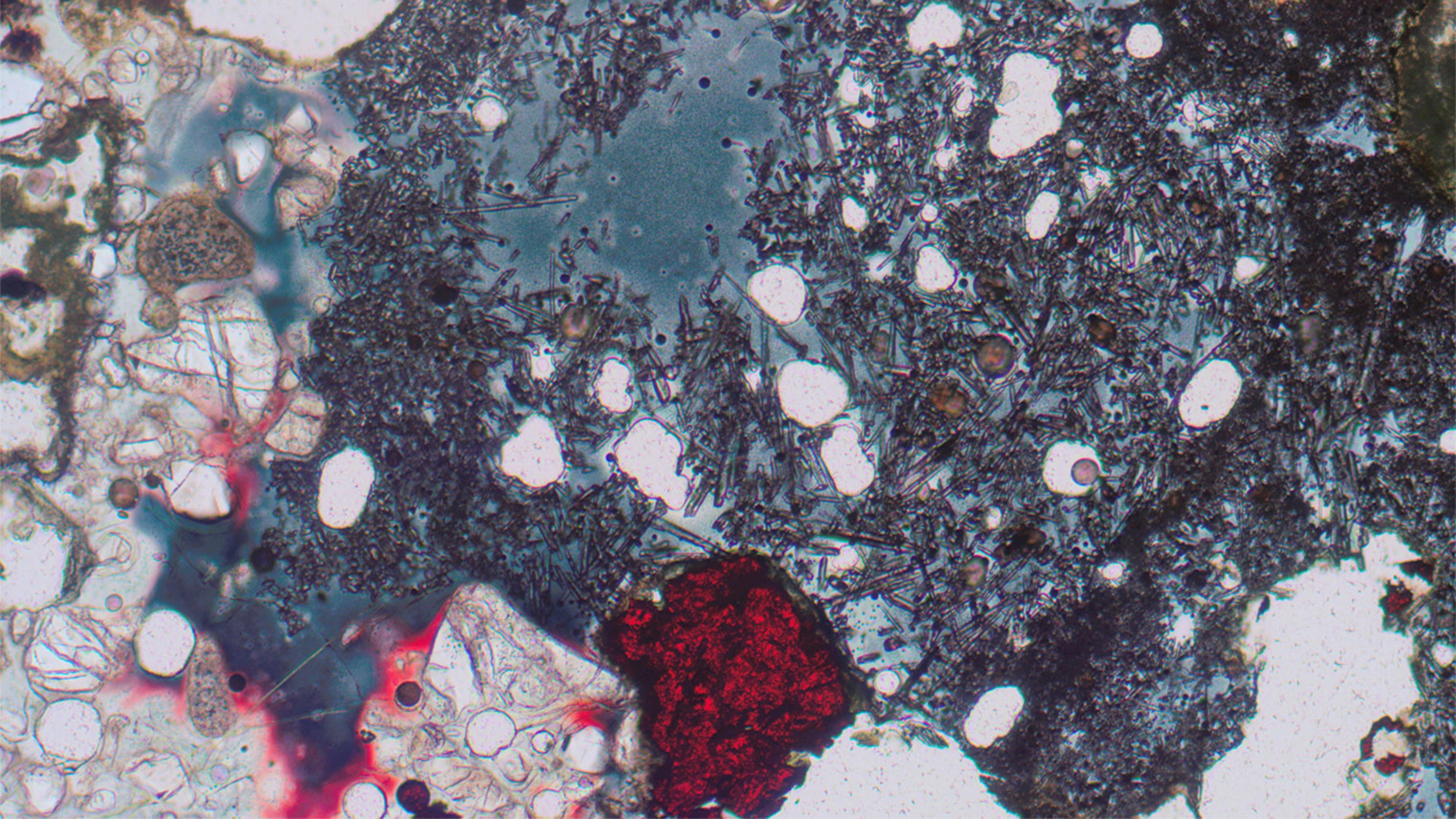 A closeup of bronze minerals
