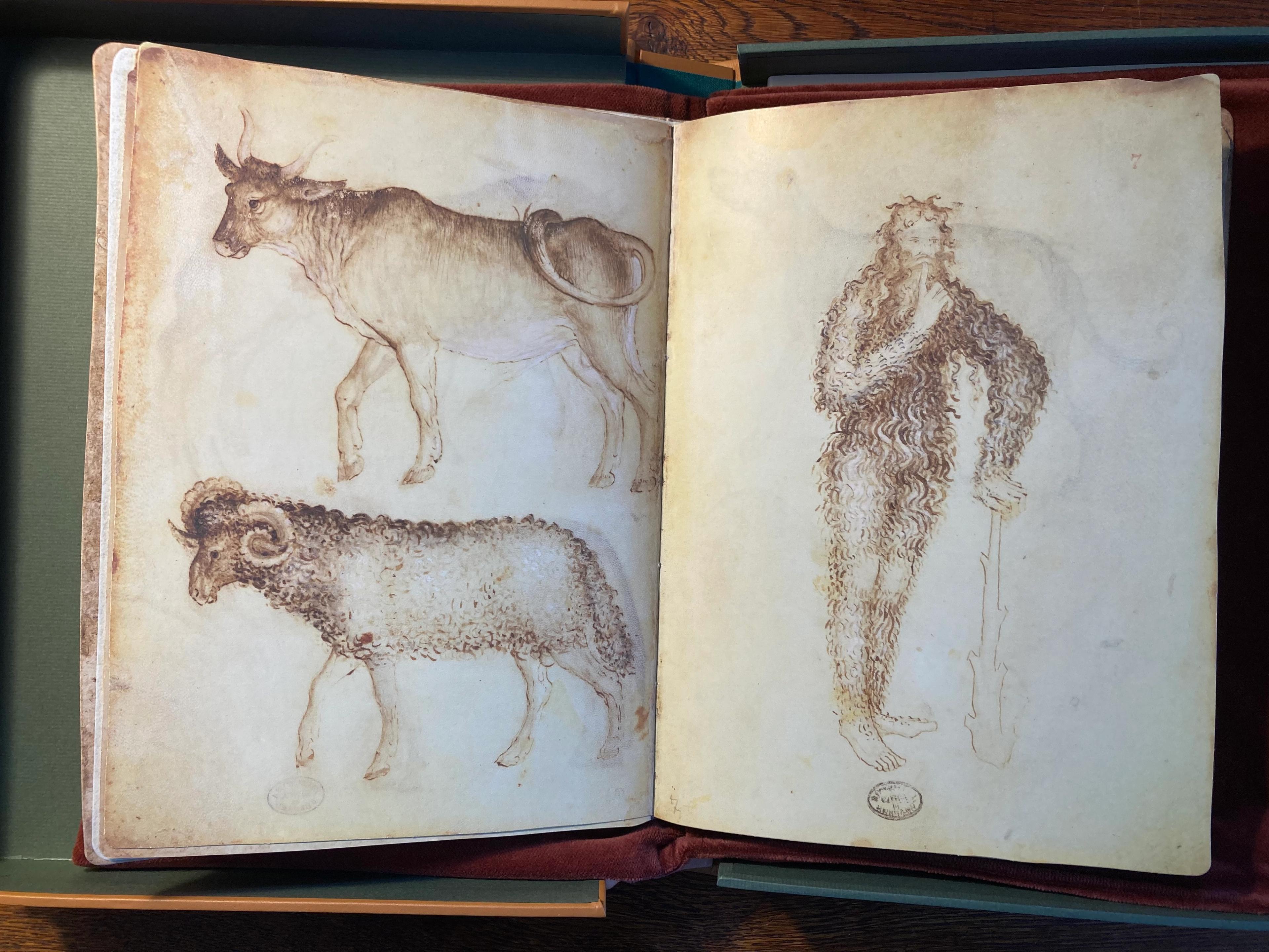 Three illustrations, two of animals, one of a human-like creature