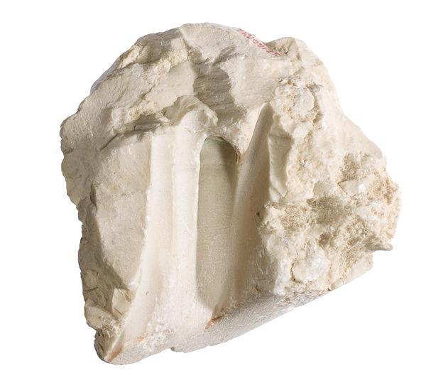 Fig. 2. Fragment with working traces, ca. 1353–1336 B.C. New Kingdom, Amarna Period, Dynasty 18. Indurated limestone; H. 8 x W. 7 x D. 6.3 cm. The Metropolitan Museum of Art, New York, Harris Brisbane Dick Fund, 1957 (57.180.142)