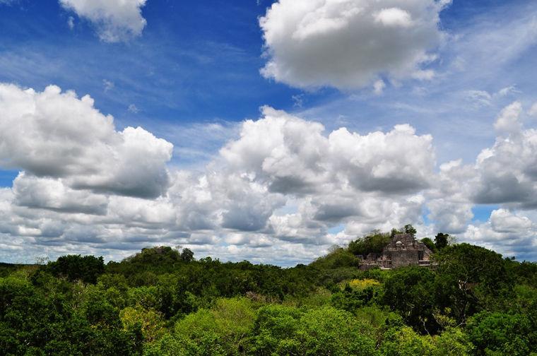 View of a verdant hilltop in Calakmul, Mexico
