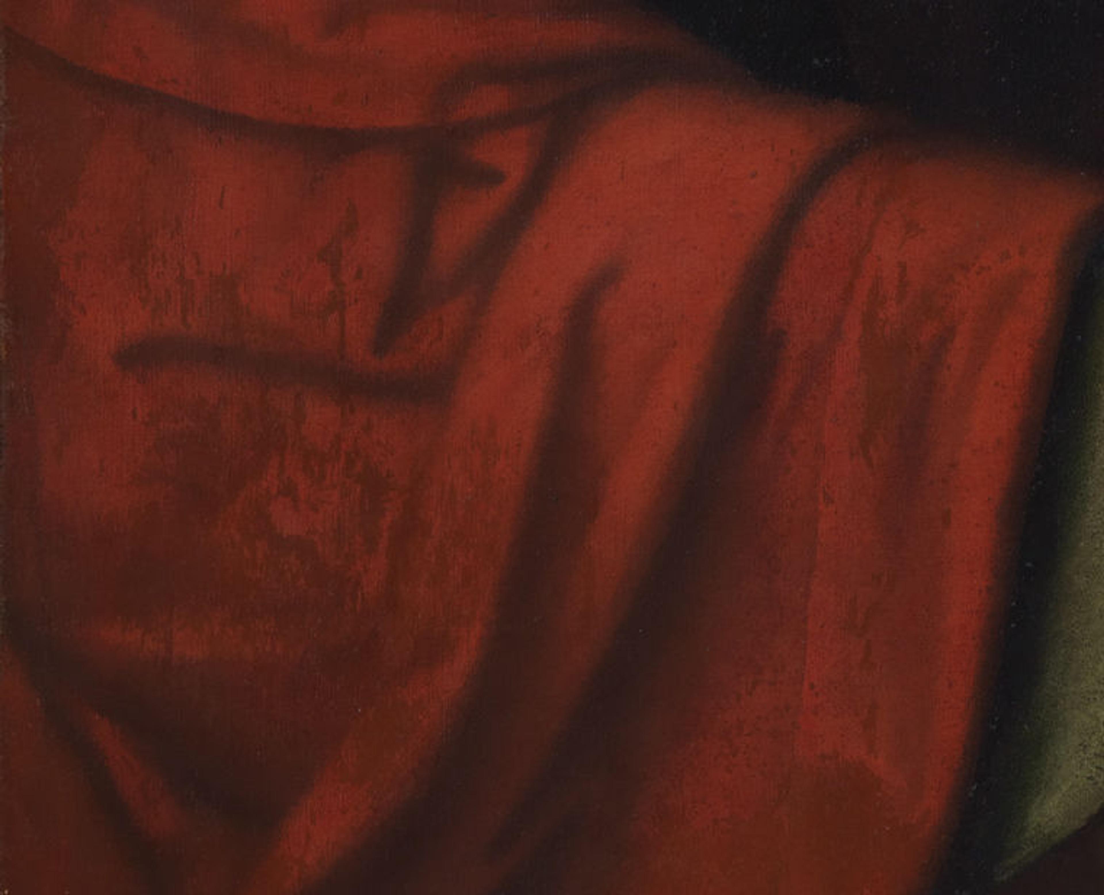 Detail view of a lush red fabric featured in a sixteenth-century painting