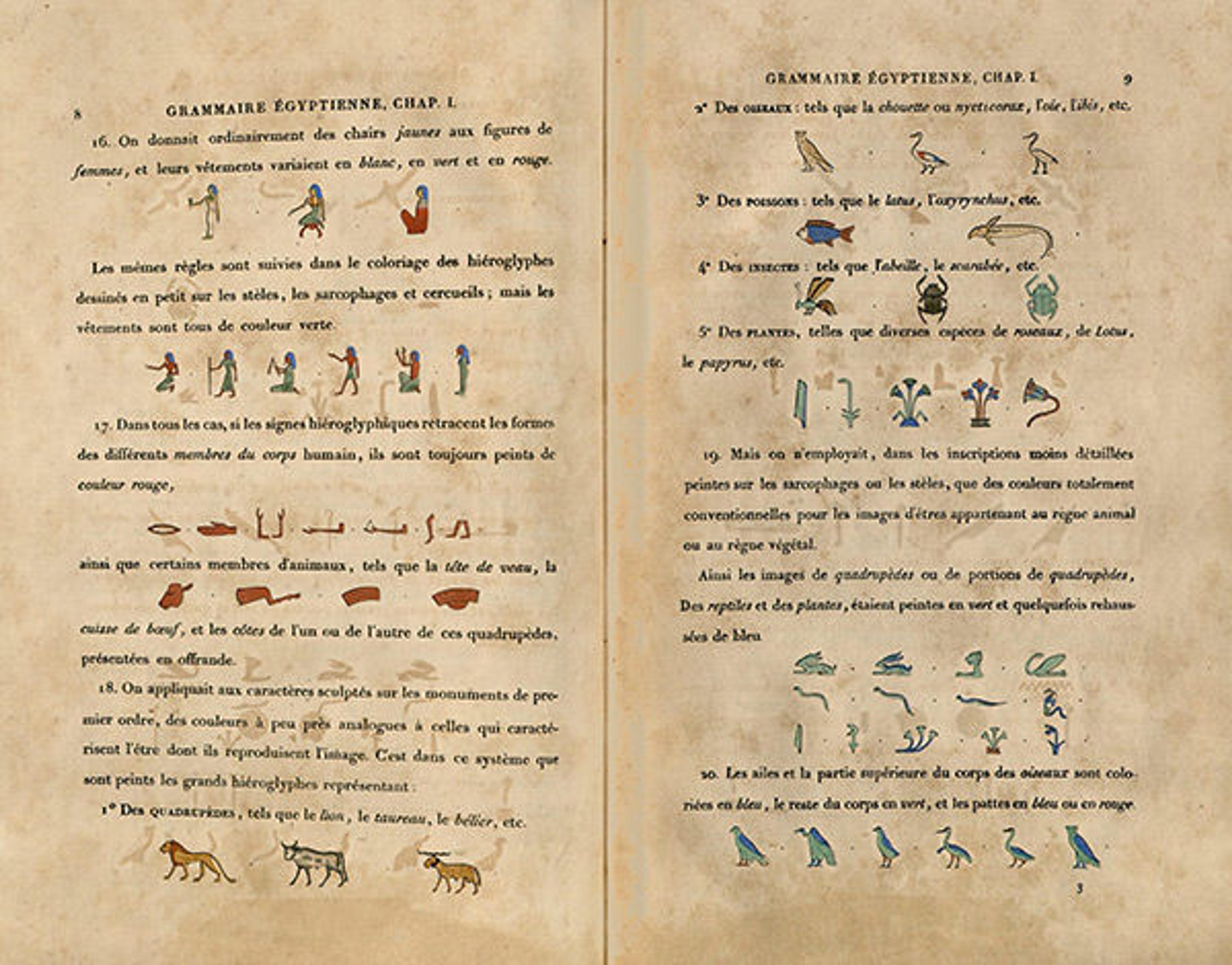 Hieroglyphs