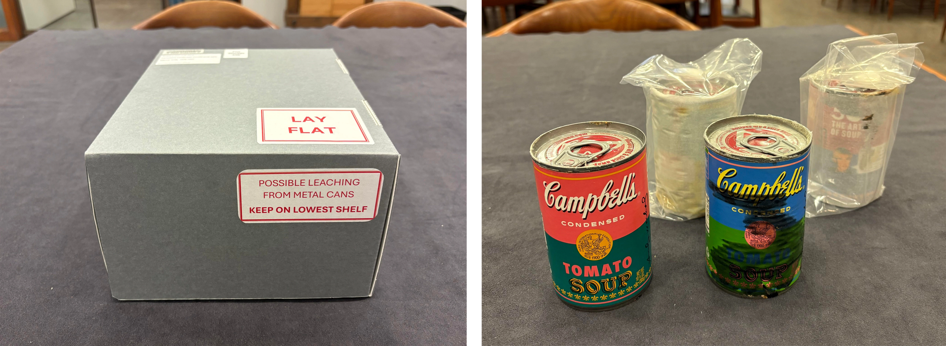 Left: Box enclosure for organic library material. Right: Four deteriorating cans of soup. Two are in plastic bags.