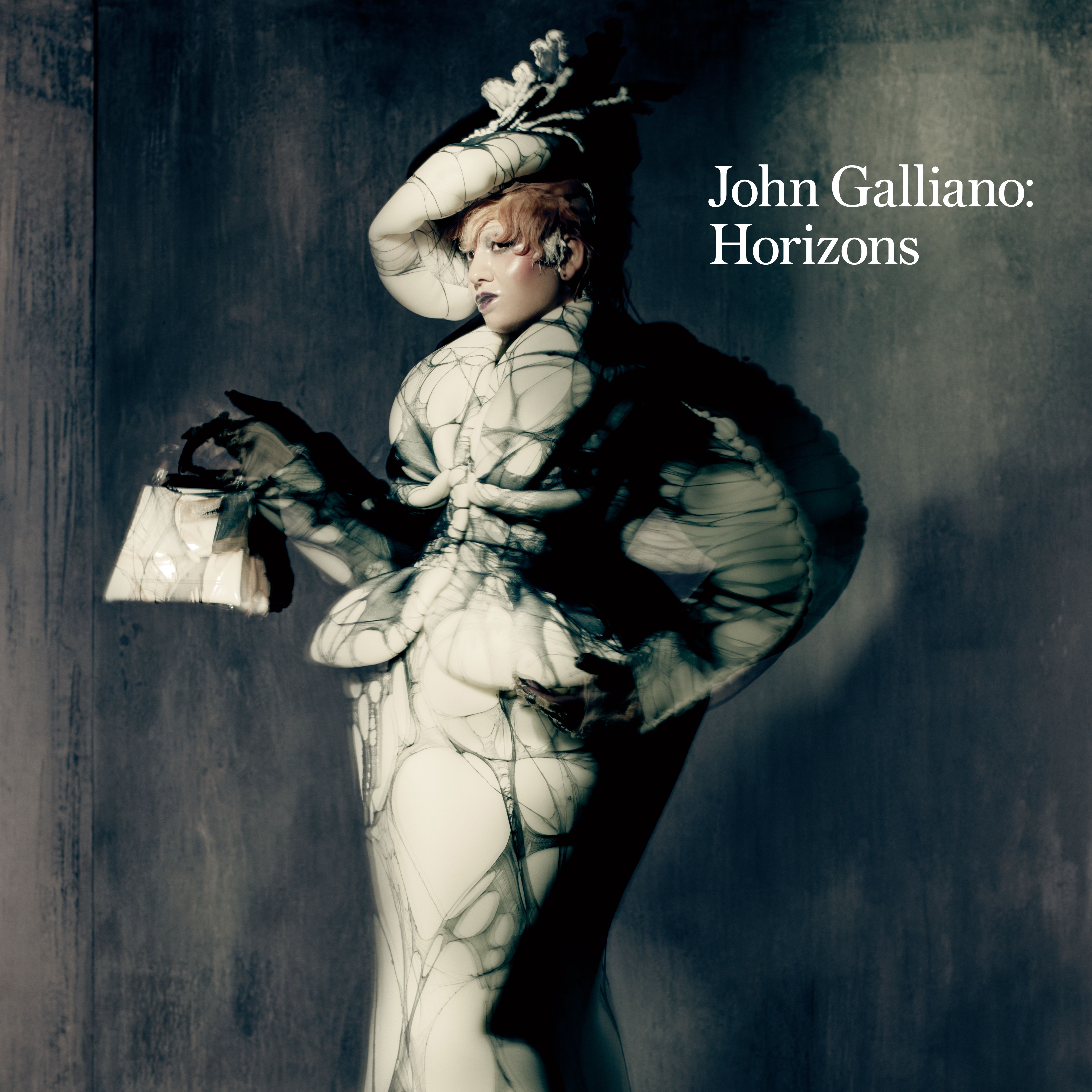 アート・デザイン・音楽 John Galliano Unseen アート・デザイン・音楽 John Galliano Unseen John Galliano: Unseen