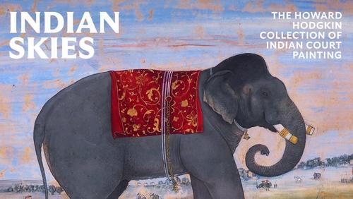 Image for Indian Skies: The Howard Hodgkin Collection of Indian Court Painting