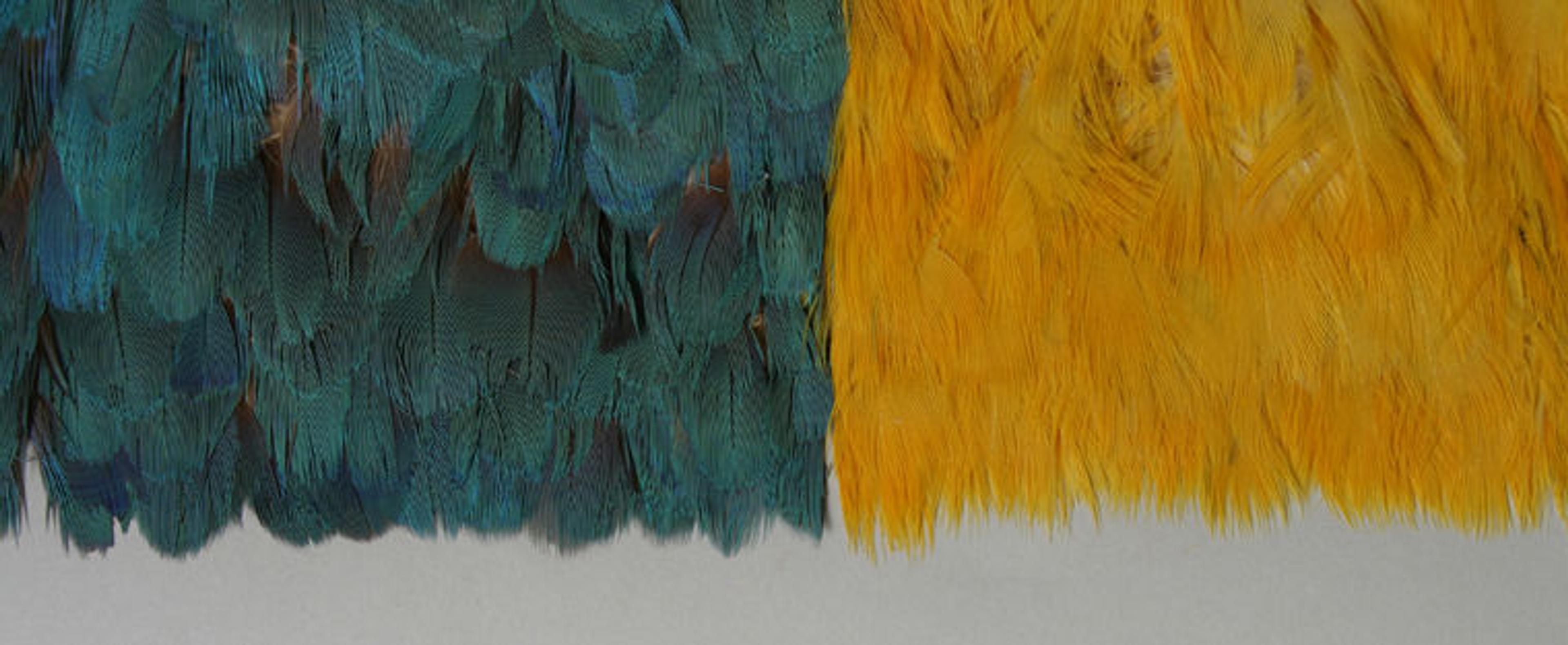 Detail view of a Peruvian featherwork textile made of blue and yellow feathers