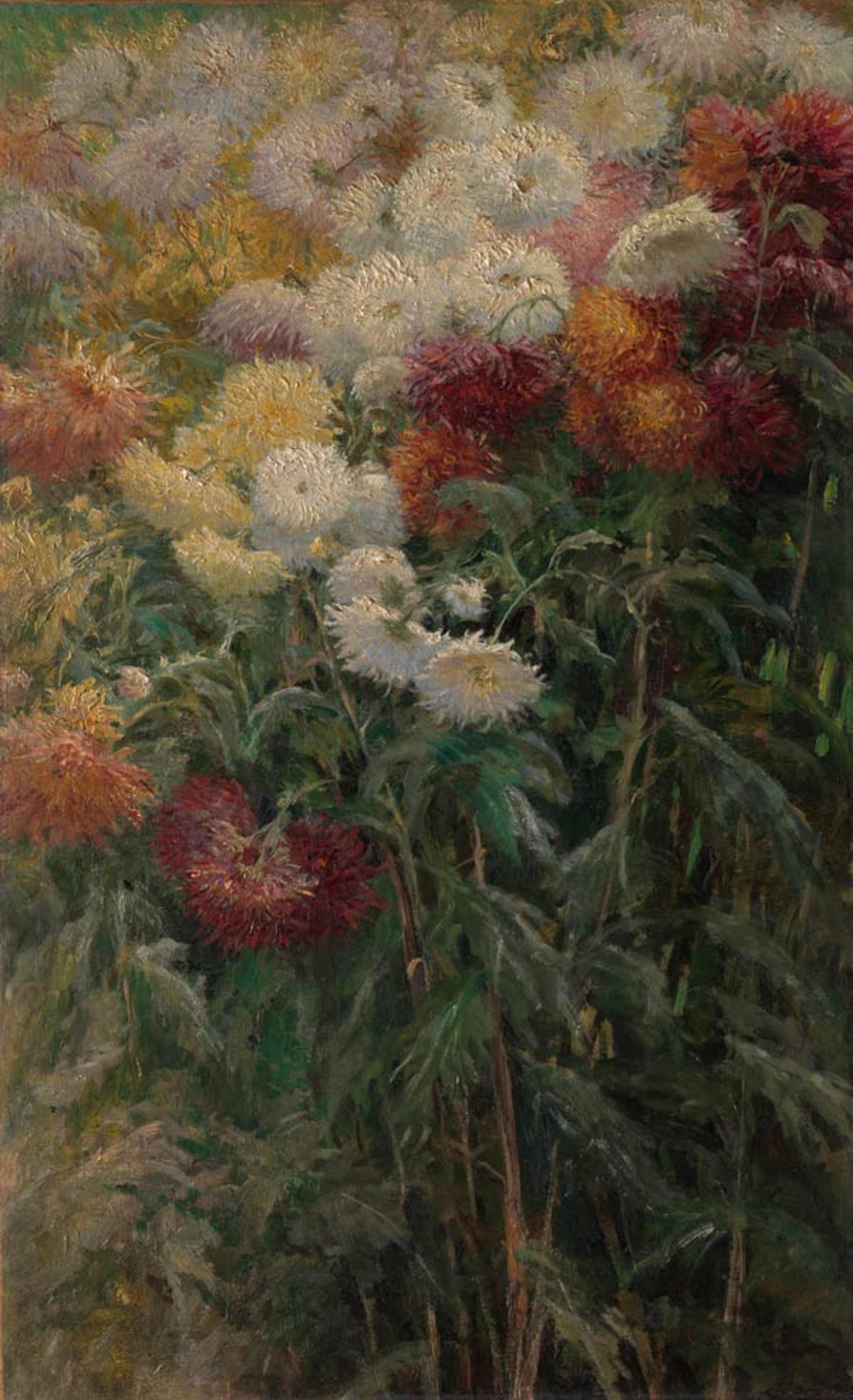 Gustave Caillebotte (French, 1848–1894). Chrysanthemums in the Garden at Petit-Gennevilliers, 1893. Oil on canvas; 38 5/8 x 23 1/2 in. (98 x 59.8 cm). The Metropolitan Museum of Art, New York, Gift of the Honorable John C. Whitehead, 2014 (2014.736)
