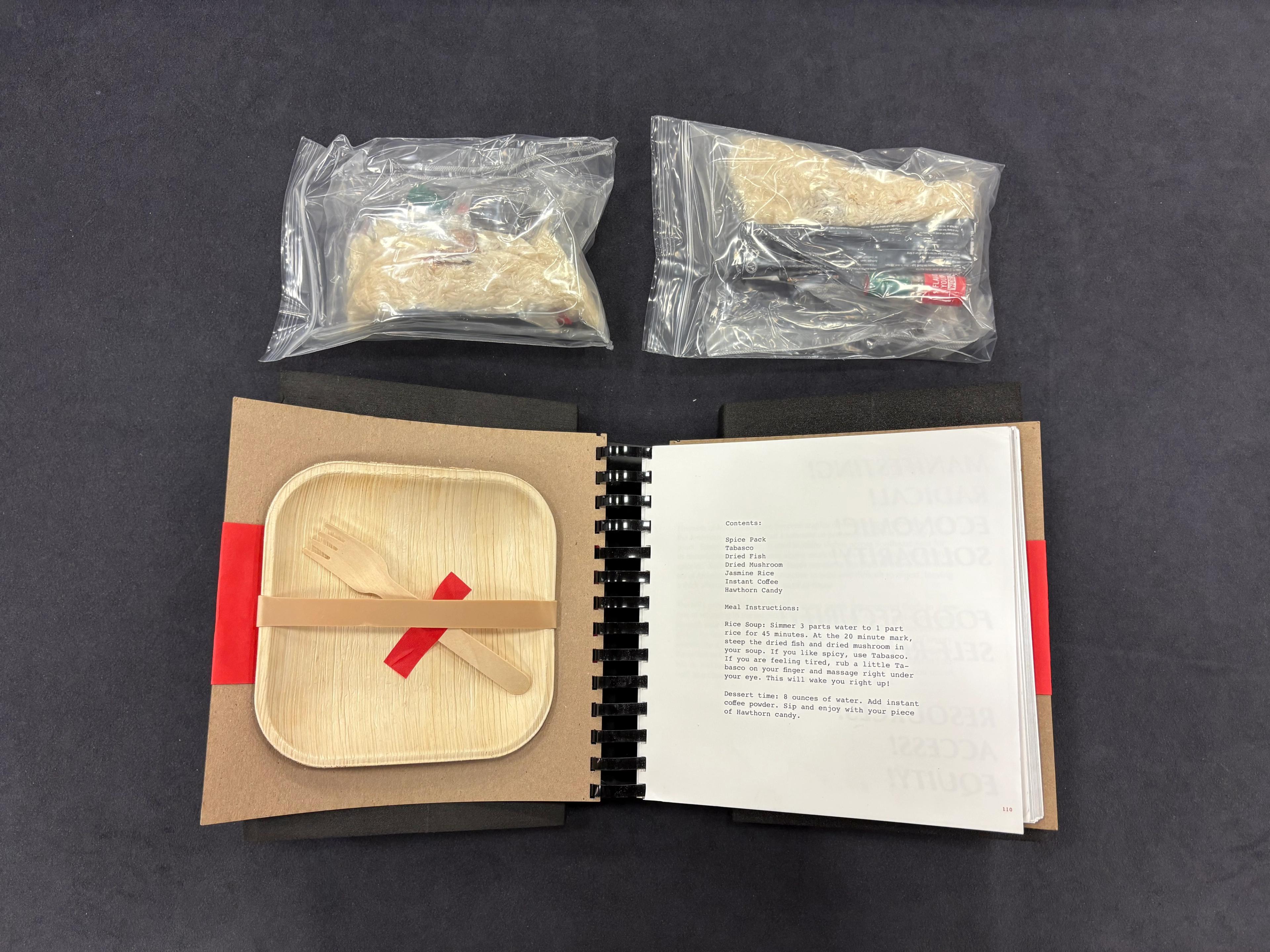 Plate and fork tucked into an open book, along with bagged edibles.