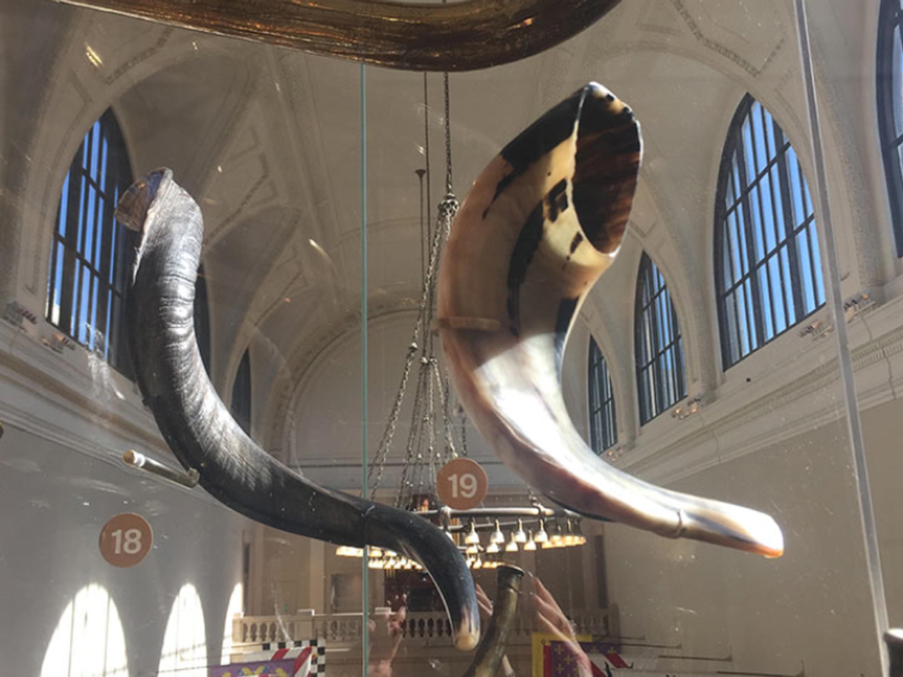 Detail of Shofars in the Musical Instruments Fanfare gallery