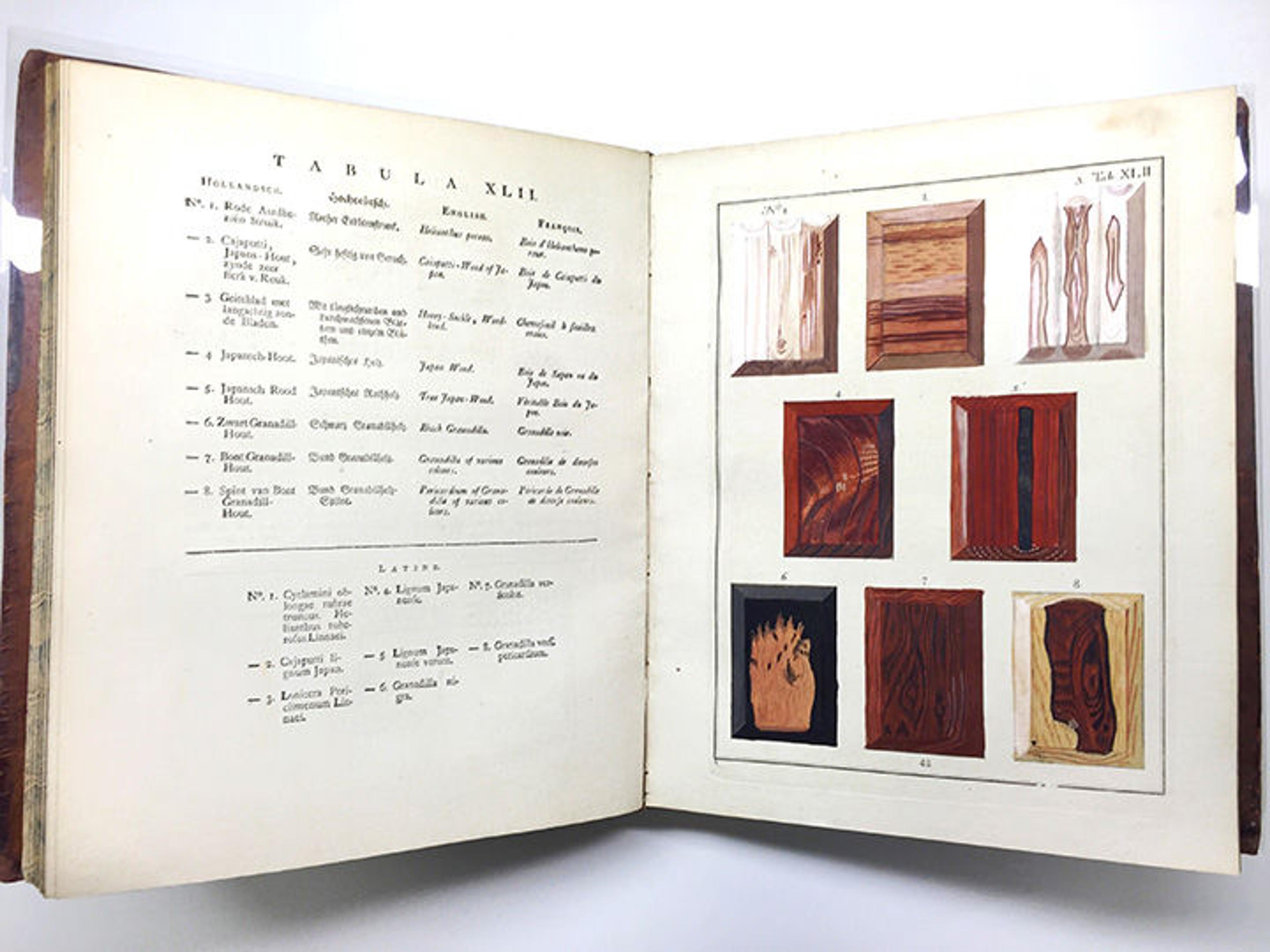 Wood Samples 2