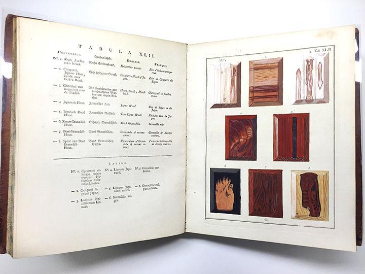 Wood Samples 2