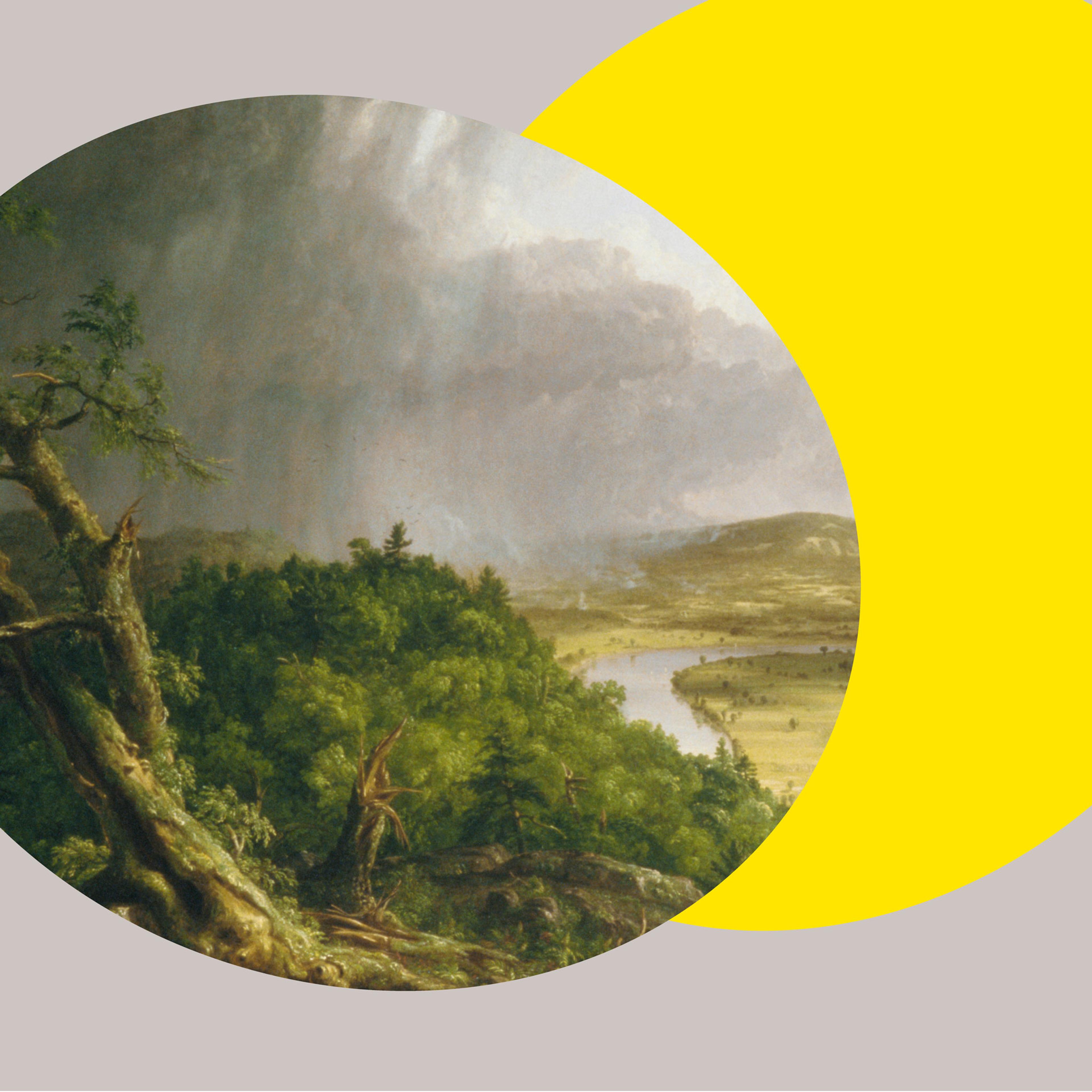 Detail of Thomas Cole's landscape painting "The Oxbow" showing a lush green landscape, a tree with winding branches, and a river in the distance. A bright yellow ovular spotlight against a grayscale background frame the painting detail.