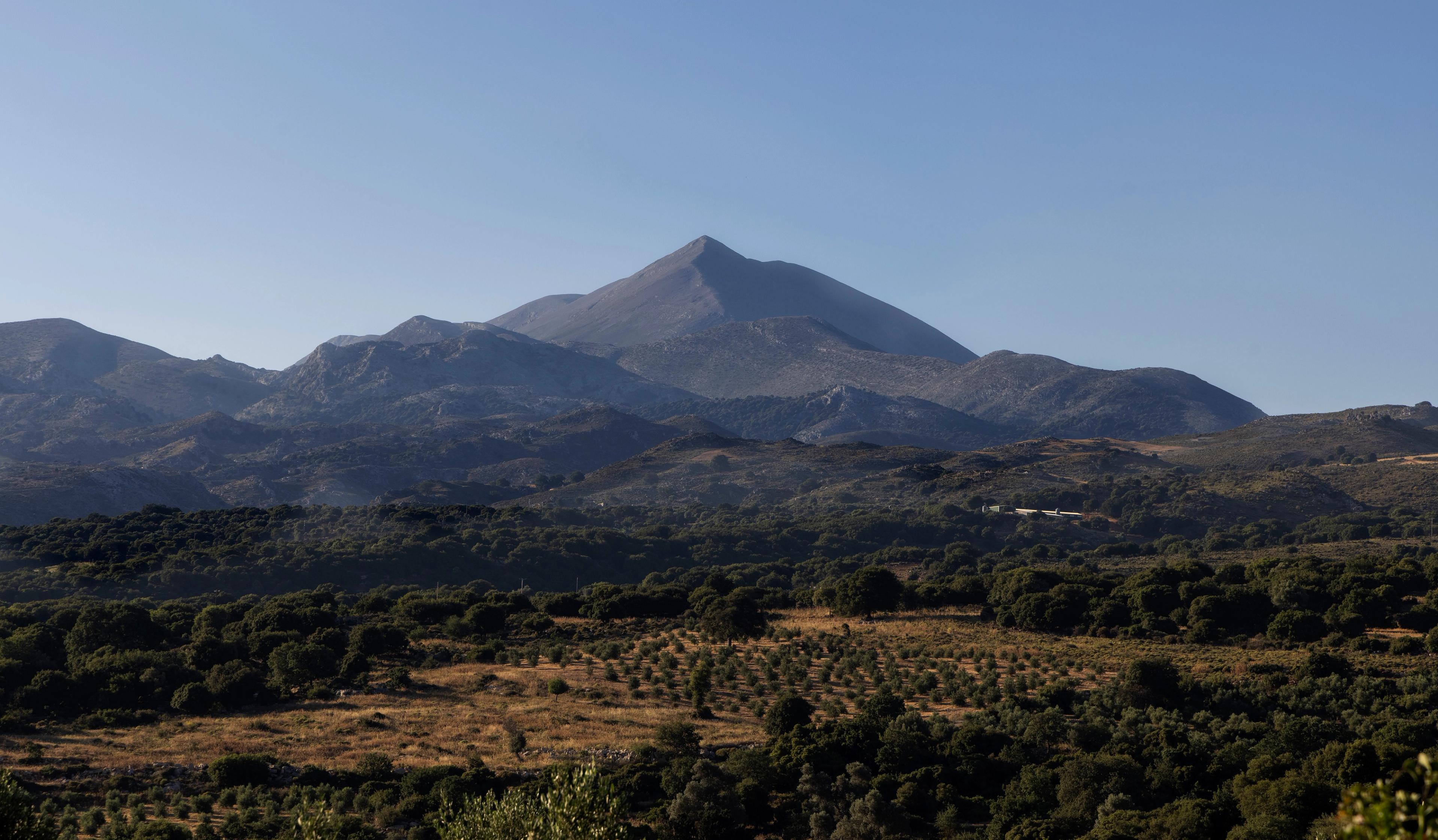 Distant gray mountains, with a deep green and brown landscape of trees and brush in the foreground.