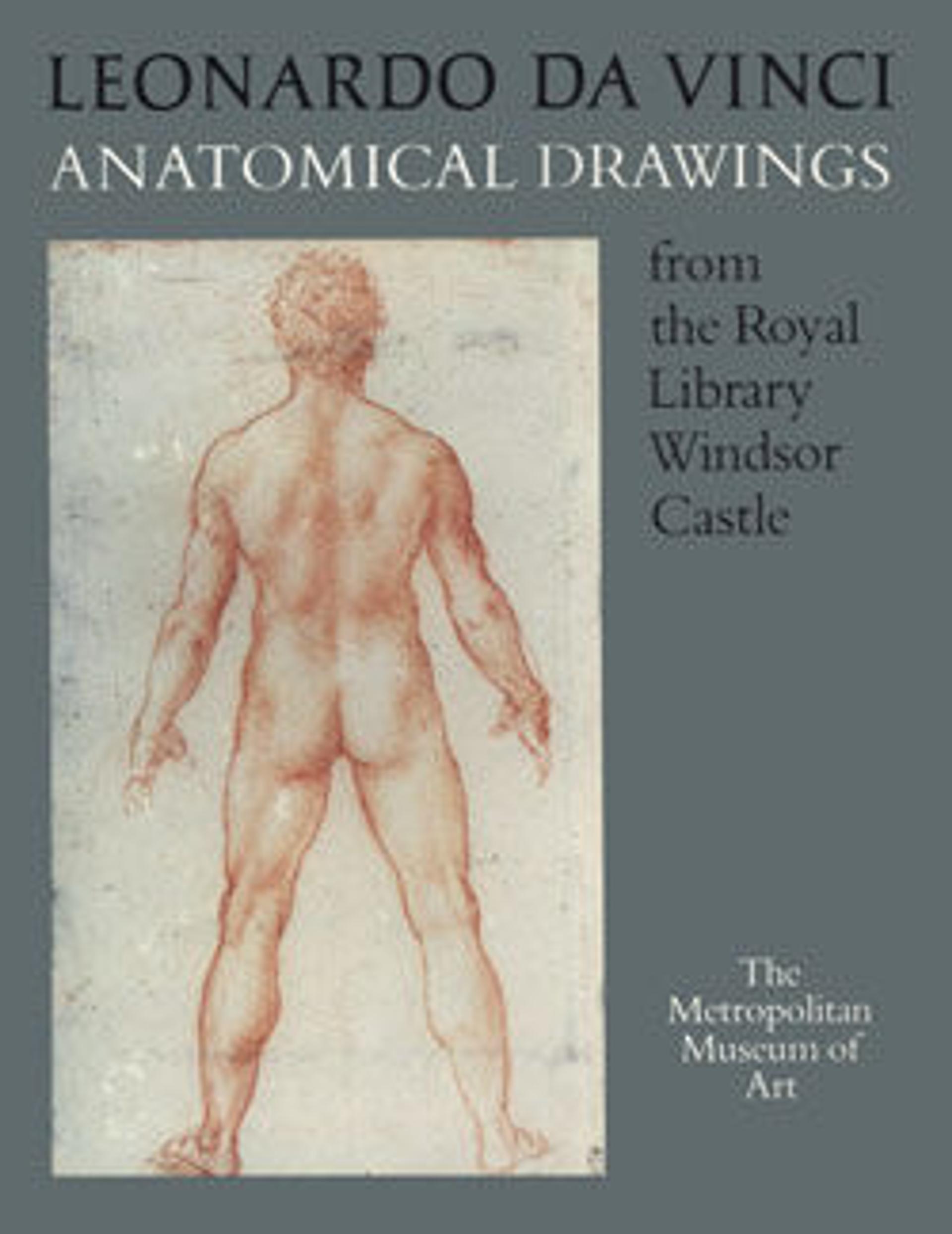Art and Anatomy in Renaissance Italy: Images from a Scientific ...