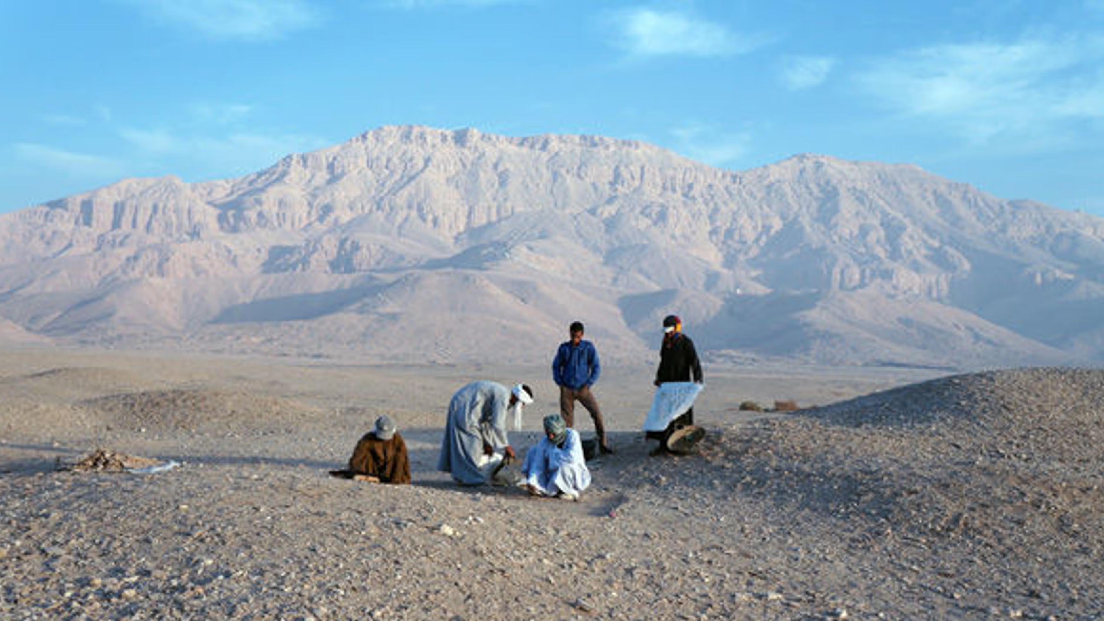 Five figures at work on an excavation site in the desert with mountains in the distance.