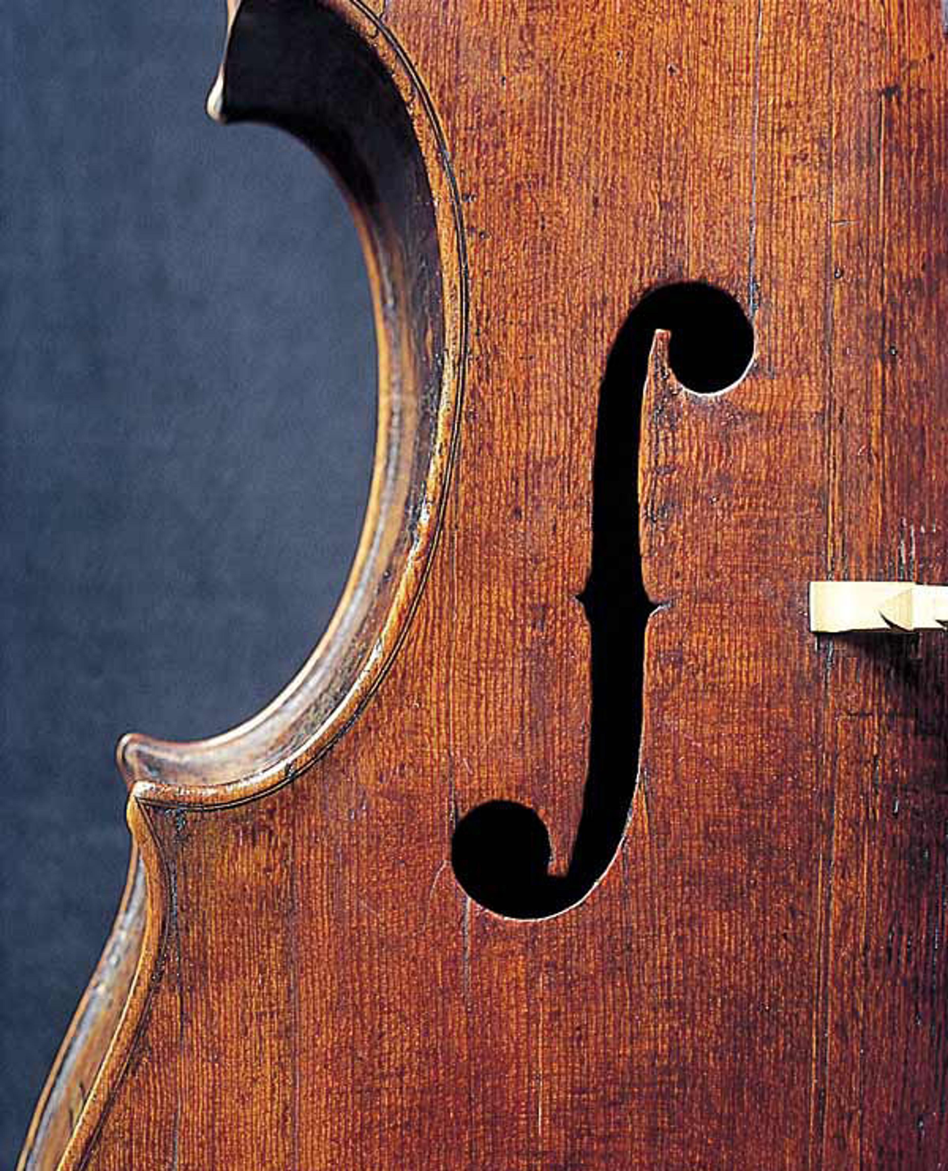 Andrea Amati (Italian, ca. 1505–1578). Violoncello, "The King" (detail), mid-16th century. National Music Museum, Vermillion, South Dakota, Witten-Rawlins Collection, 1984 (NMM 3351)