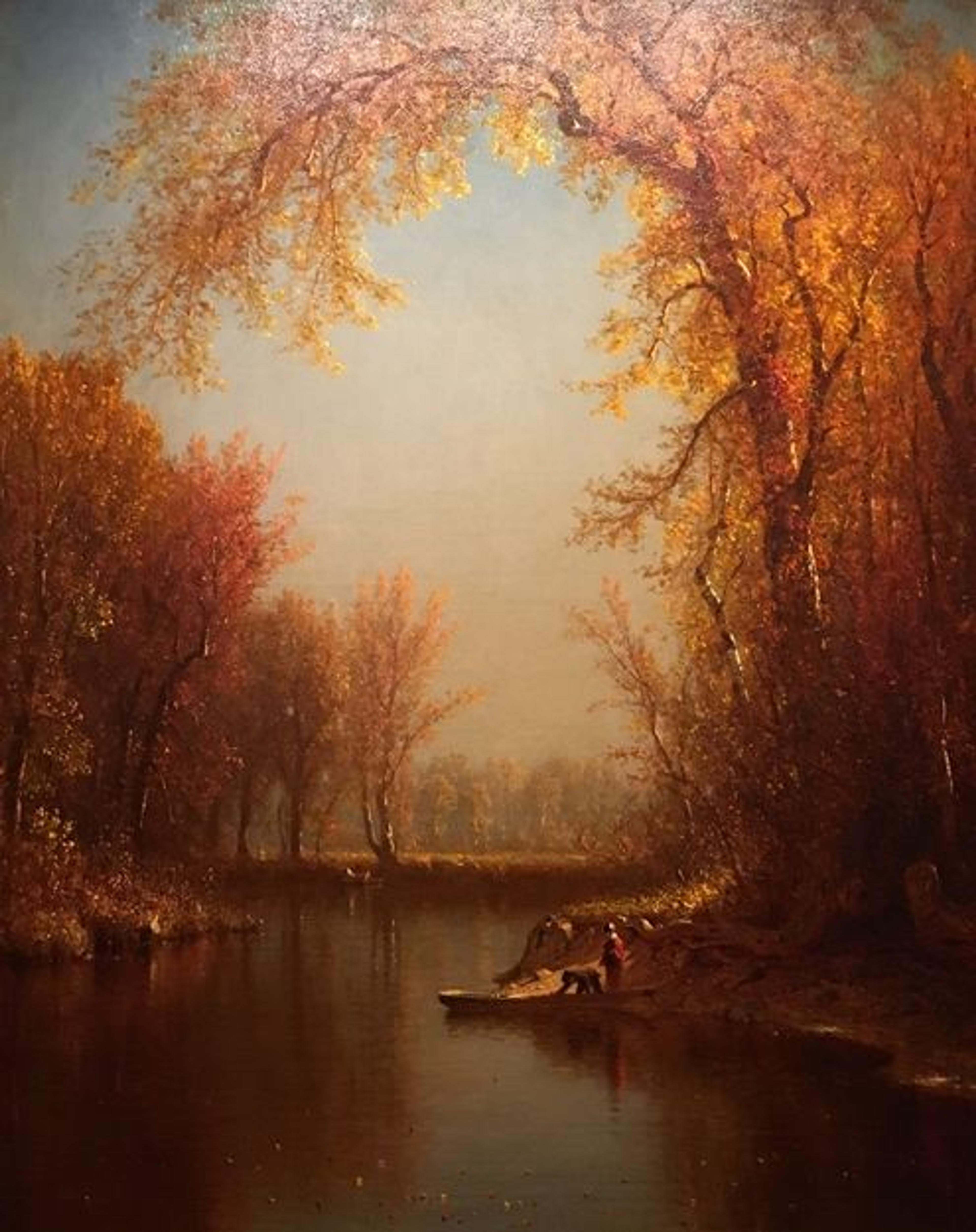 Aesthetic Splendor