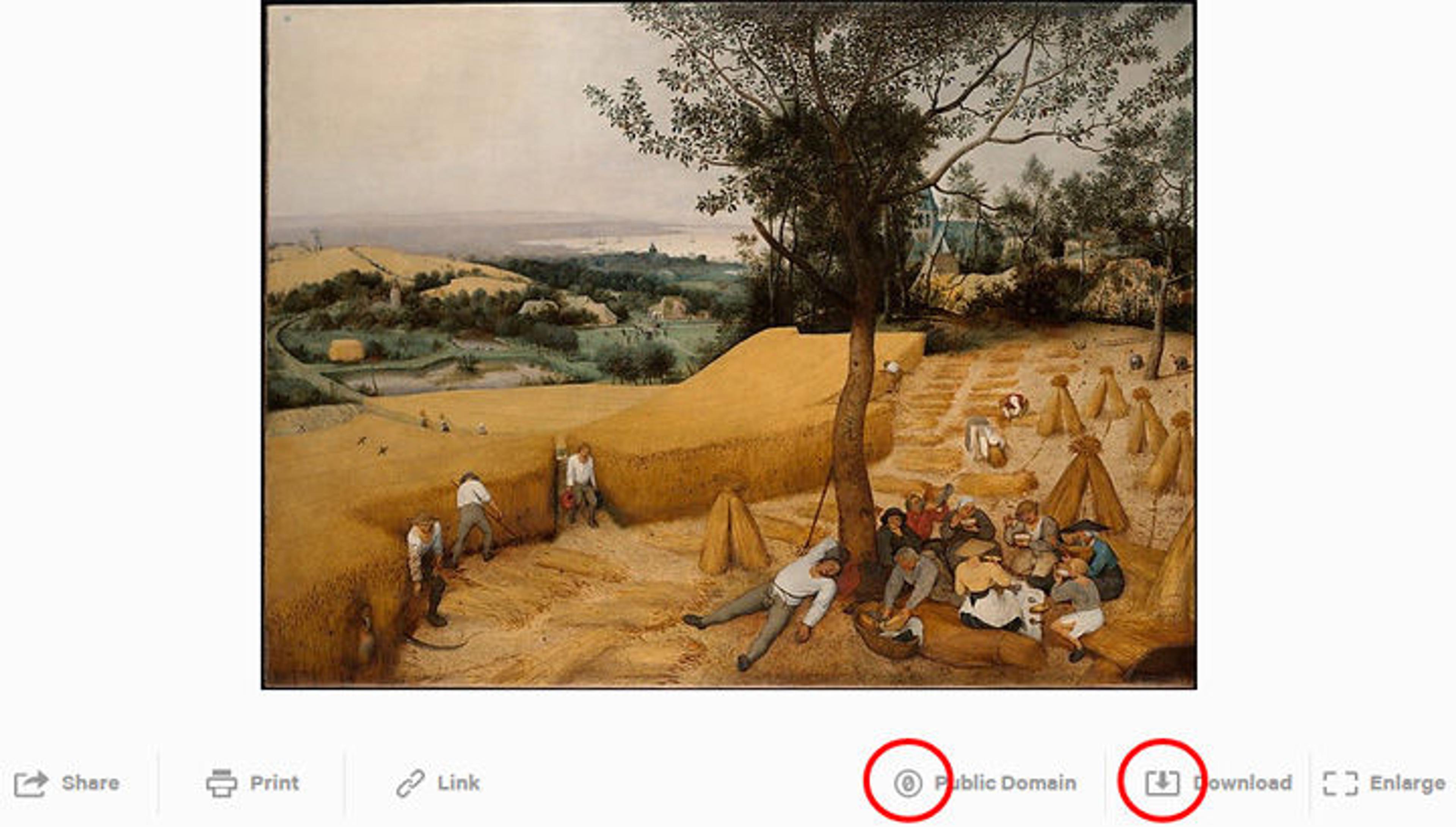 The CC0 and Download icons circled below an image of Bruegel's "The Harvesters" in the Collection section of this website